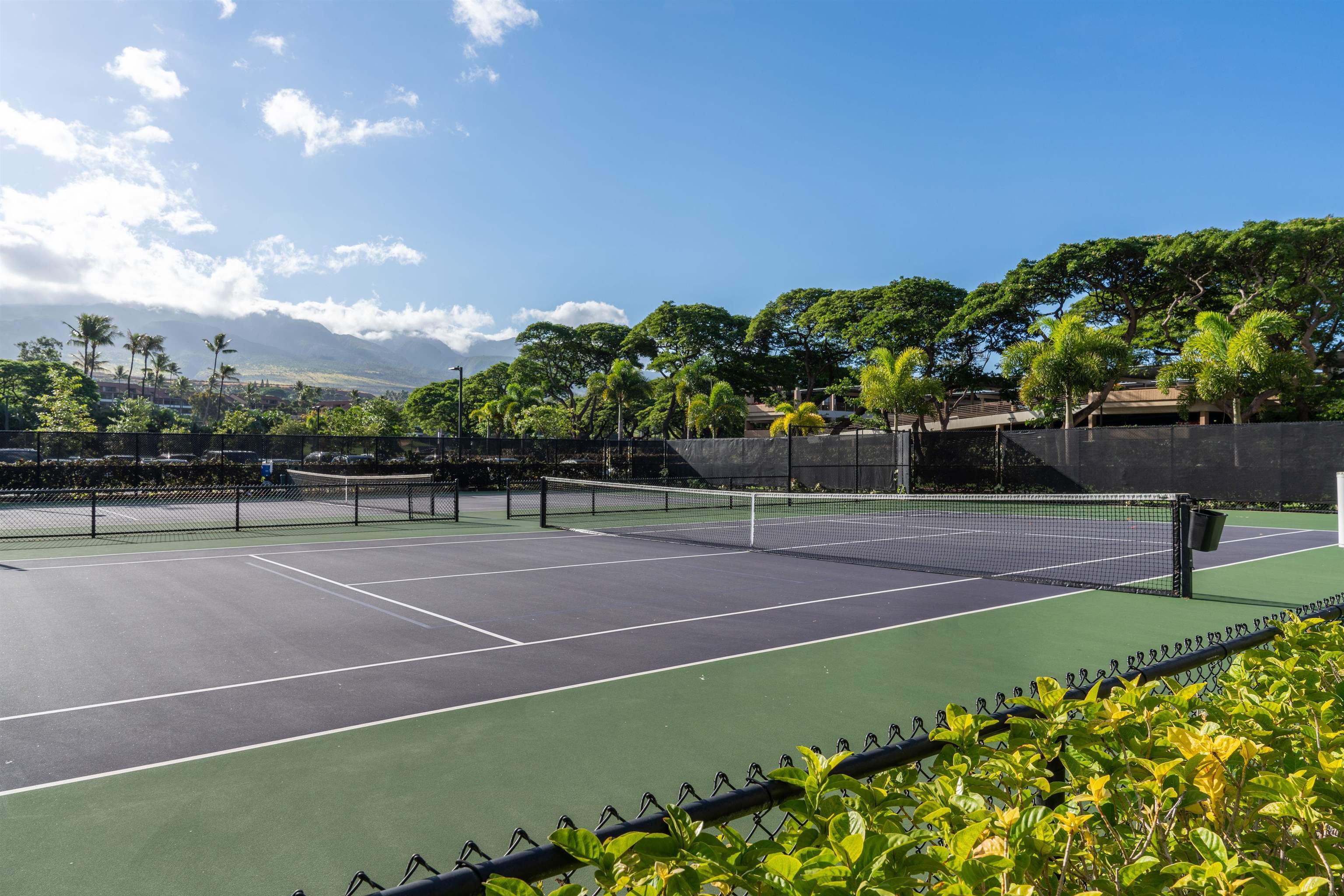 Whaler I — Whaler I, Kaanapali — property photo 21 of 28