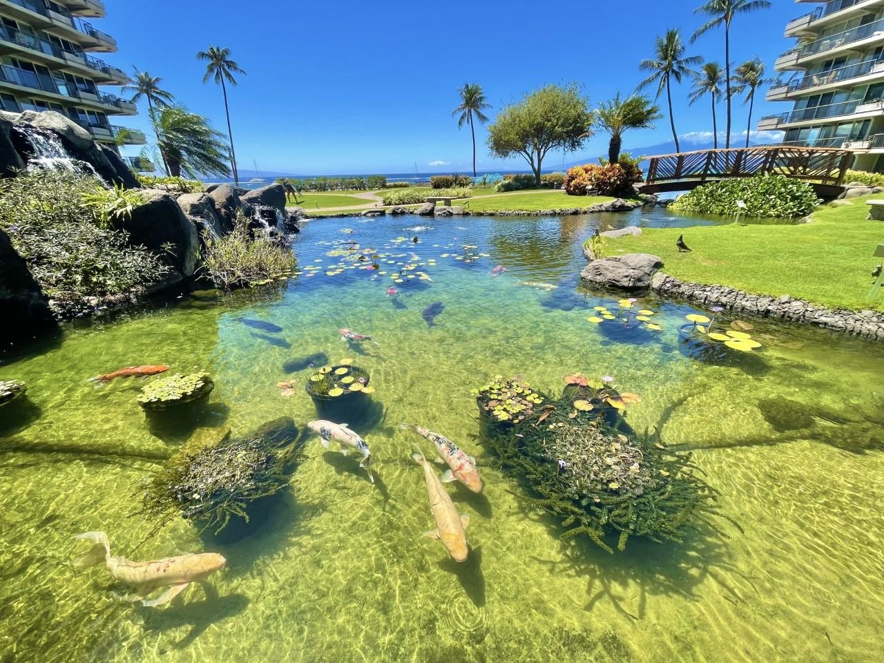 Whaler I — Whaler I, Kaanapali — property photo 28 of 28