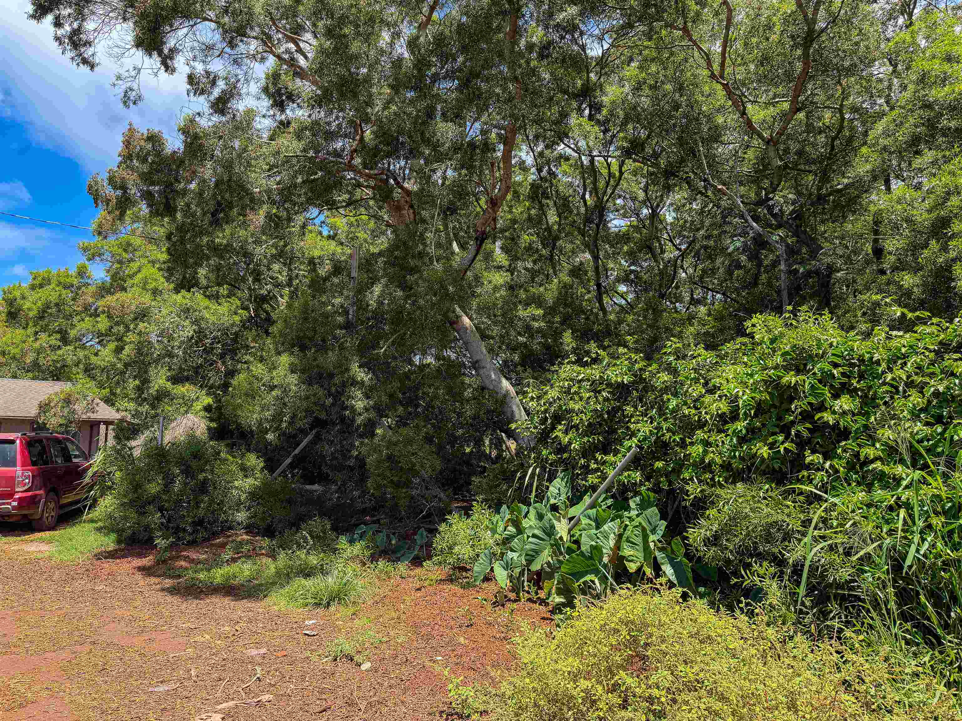 36 Koala Way thumbnail 4