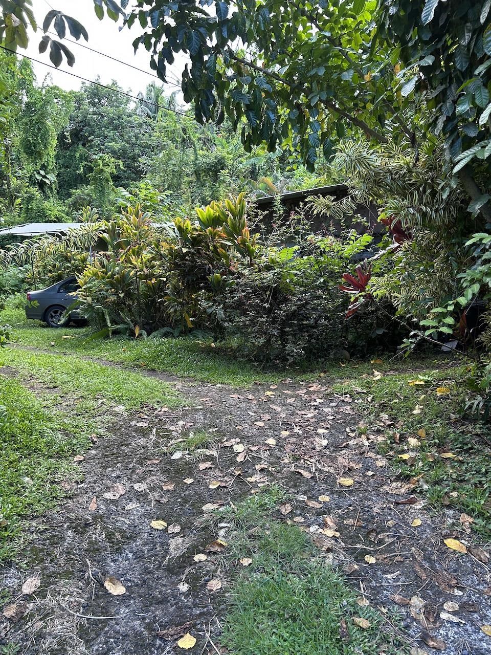 4550 Hana Hwy thumbnail 3