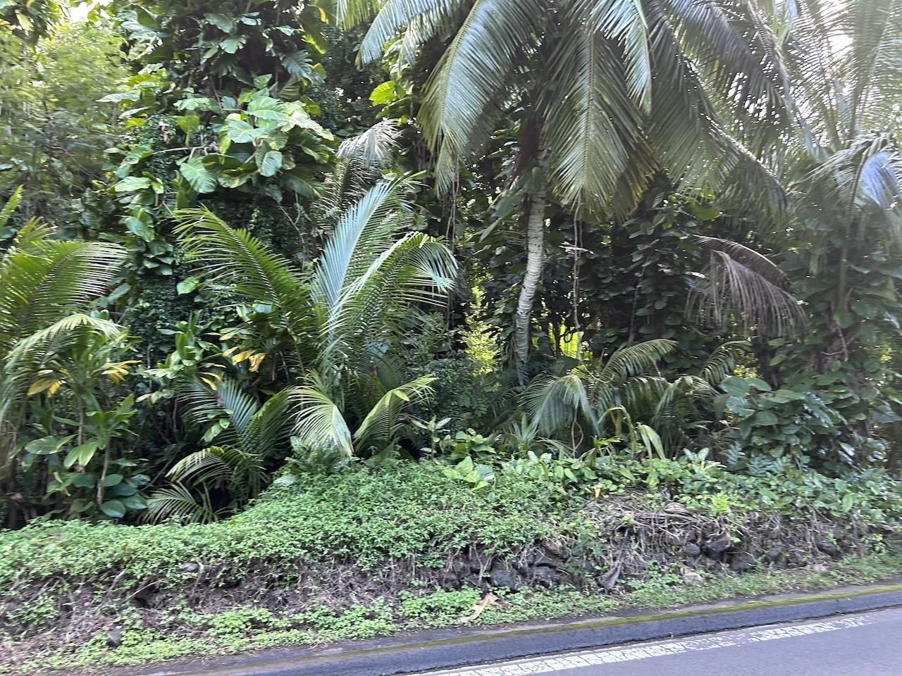 4550 Hana Hwy thumbnail 4