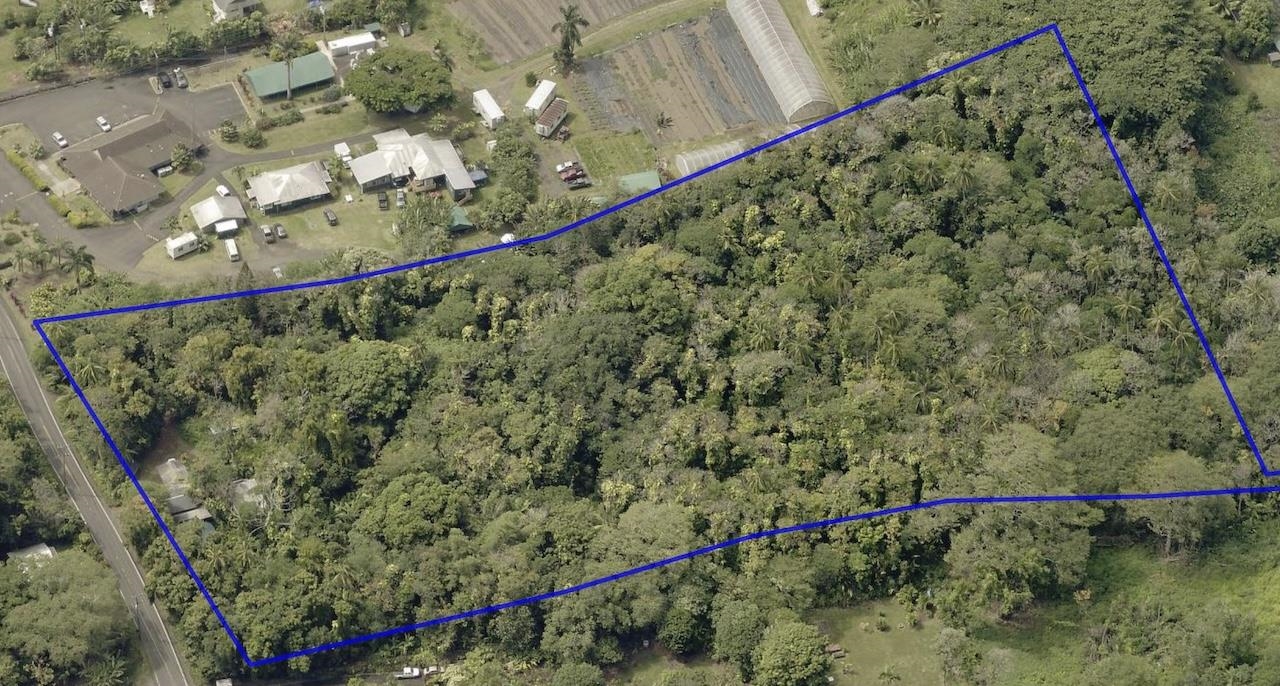 4550 Hana Hwy thumbnail 5