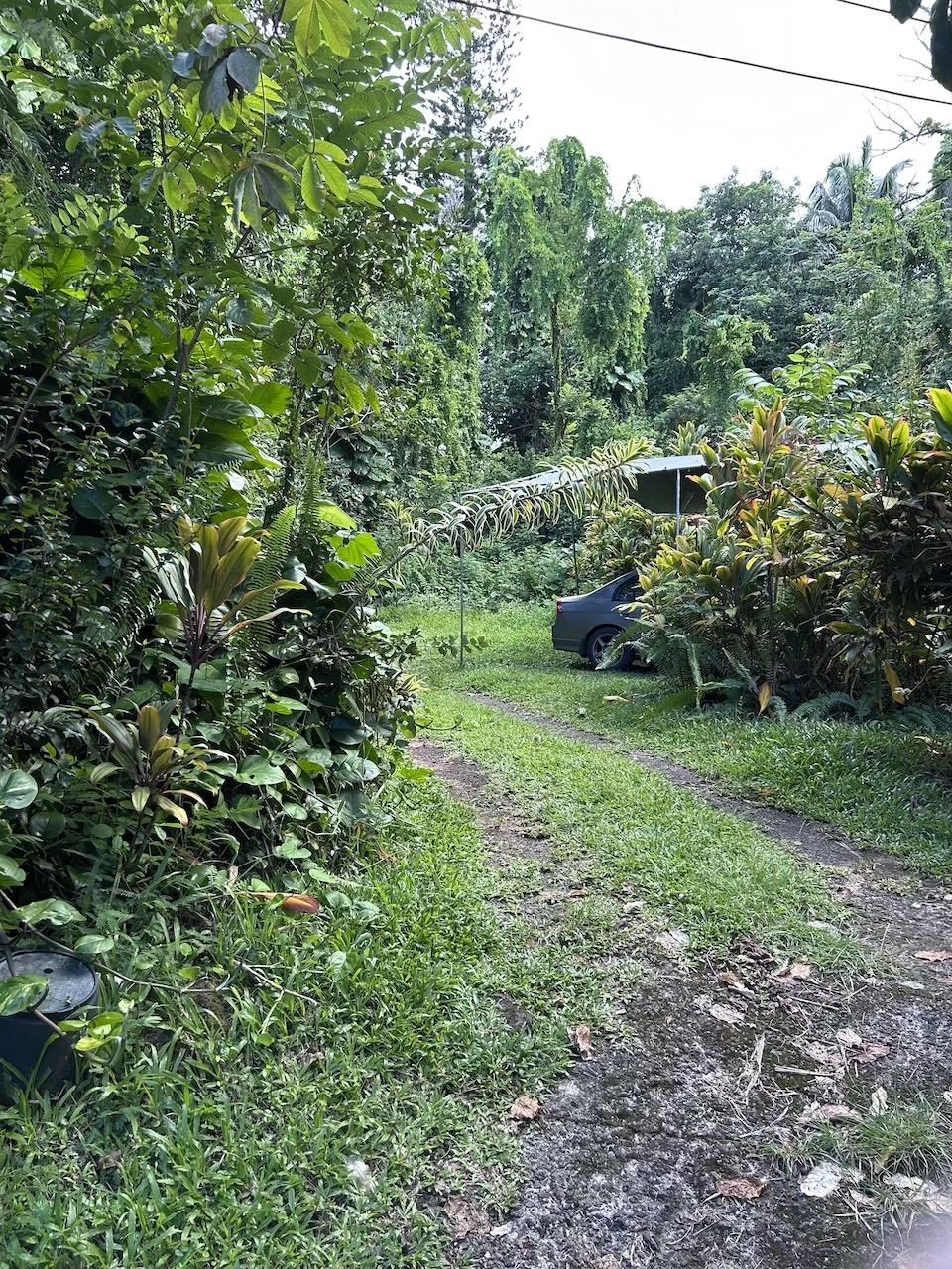 4550 Hana Hwy thumbnail 6