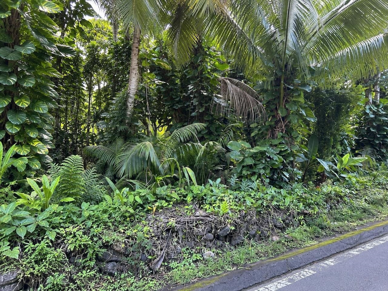 4550 Hana Hwy thumbnail 9