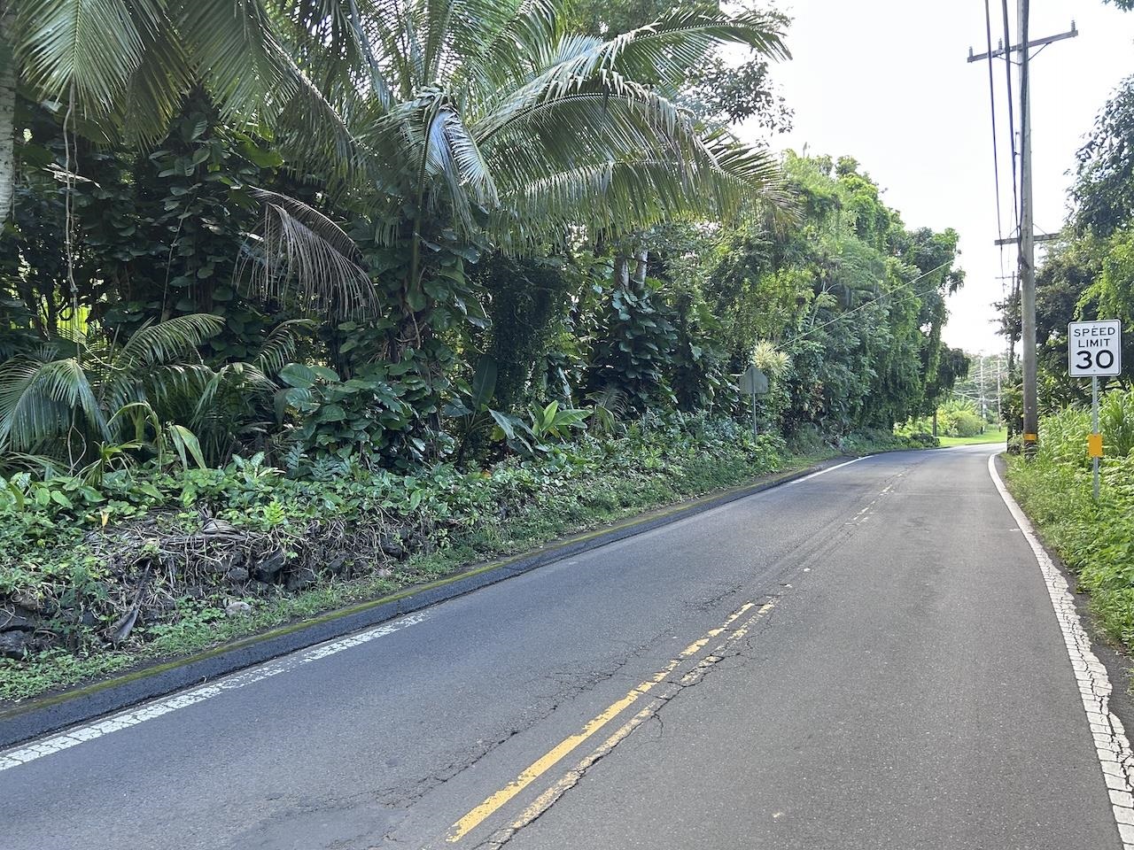 4550 Hana Hwy thumbnail 10