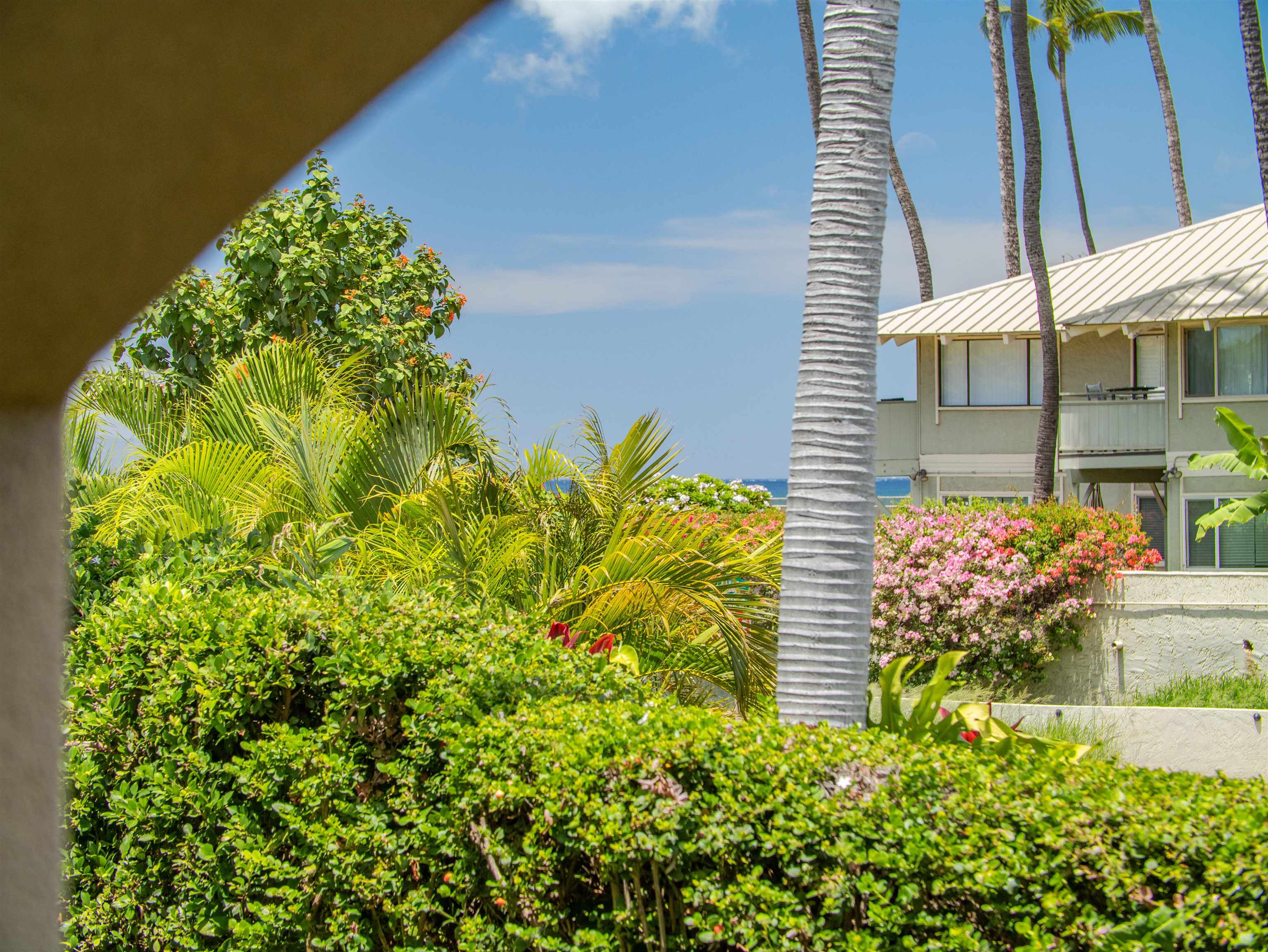 44 Kanani Rd Unit 2-103 thumbnail 8