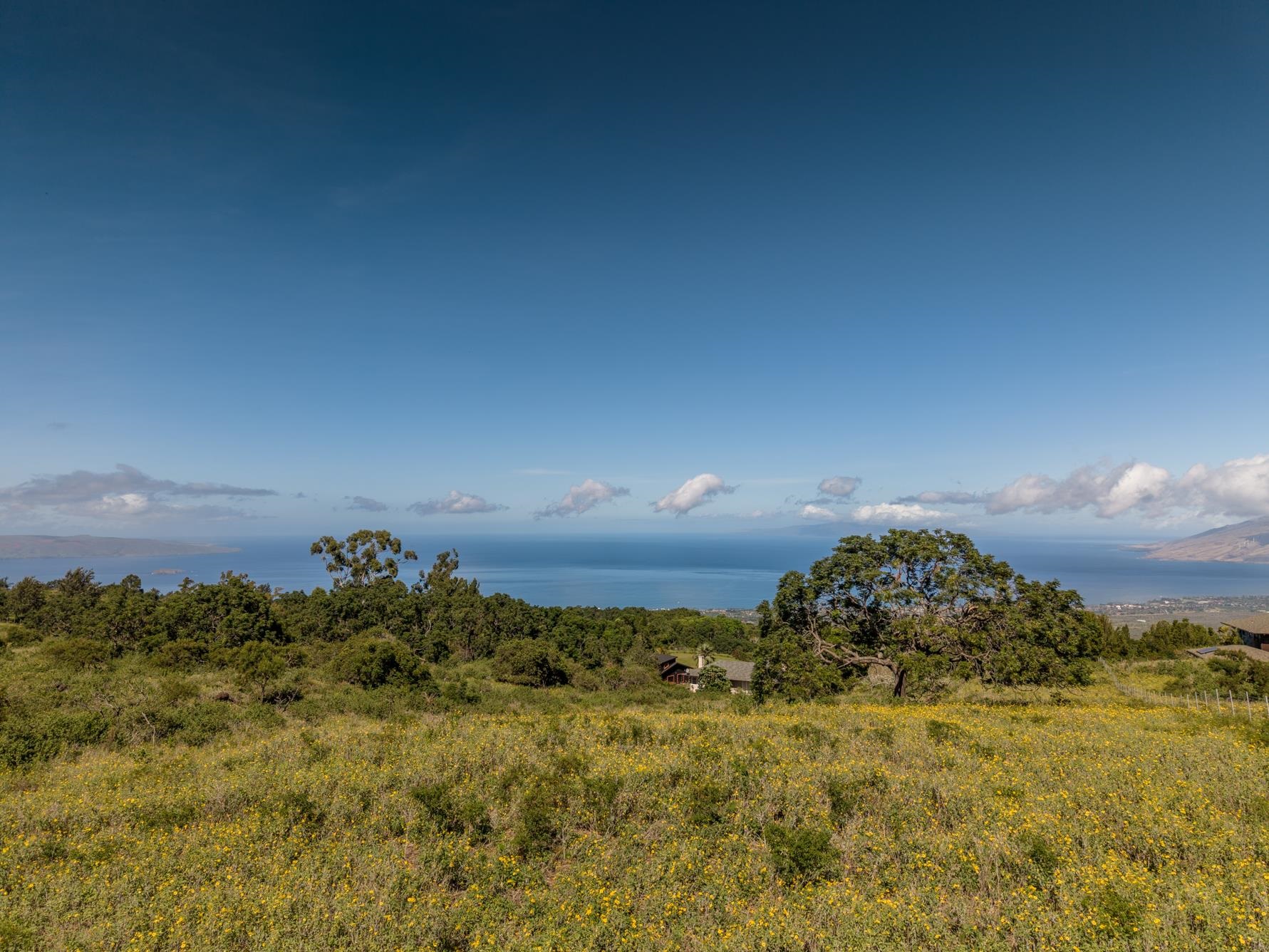 275 Kealakapu Rd thumbnail 9