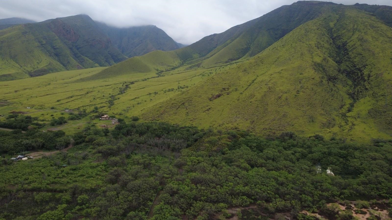 Unimproved Land thumbnail 5