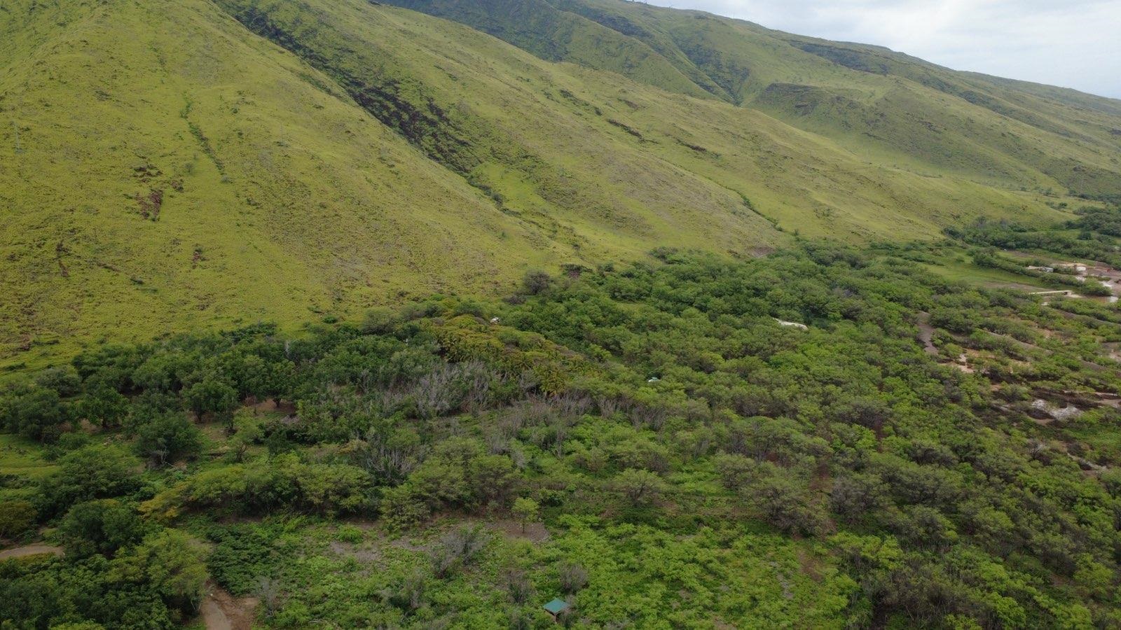 Unimproved Land thumbnail 6