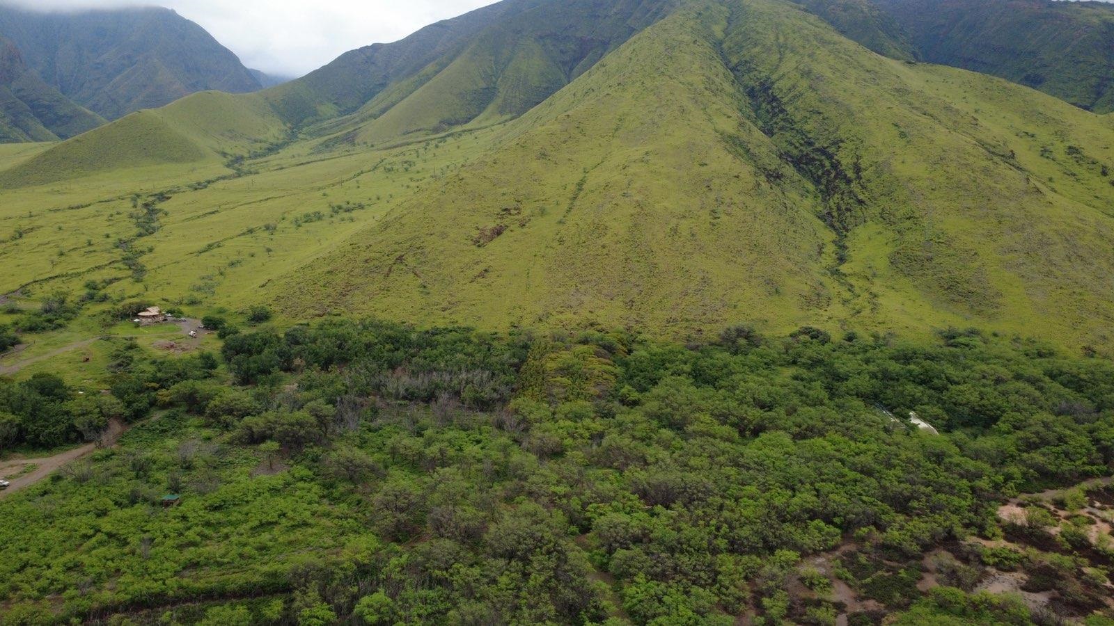 Unimproved Land thumbnail 7