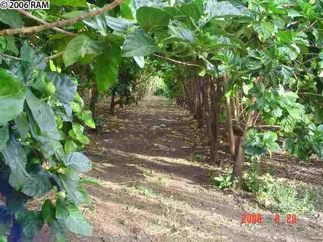 Unimproved Land thumbnail 9