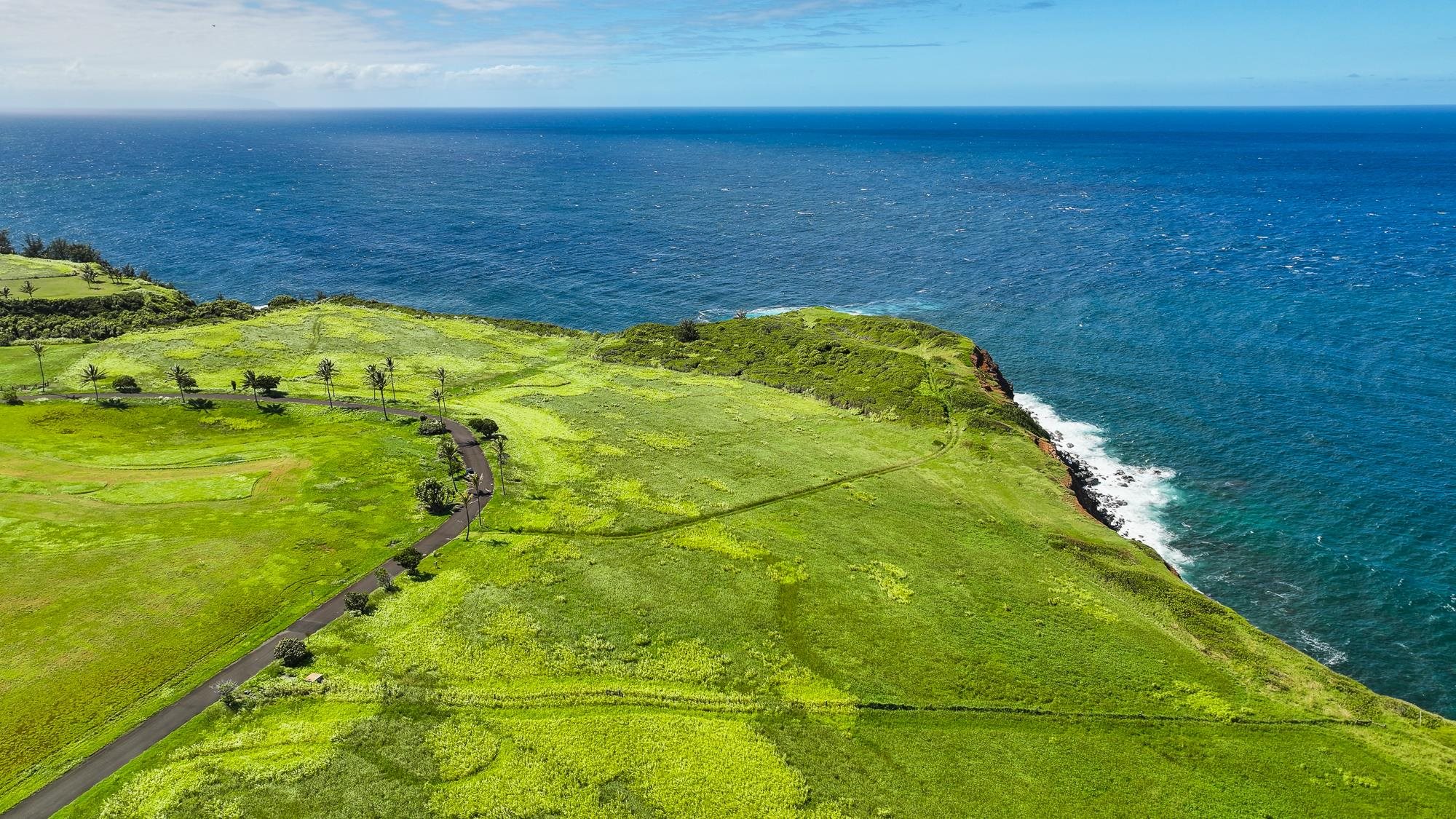 798 Kai Huki Cir thumbnail 6