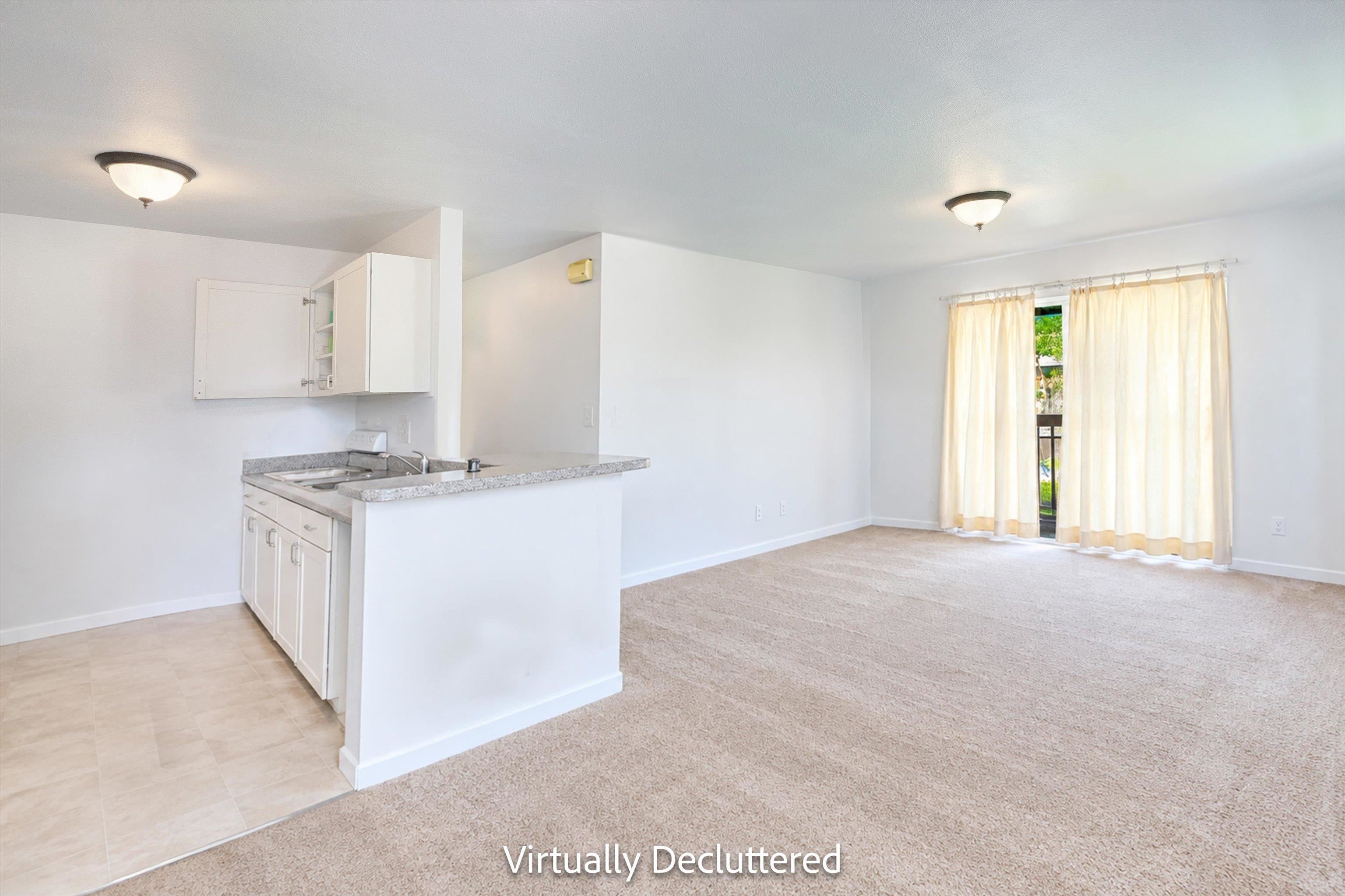 40 Kapi Ln Unit 17-205 thumbnail 4
