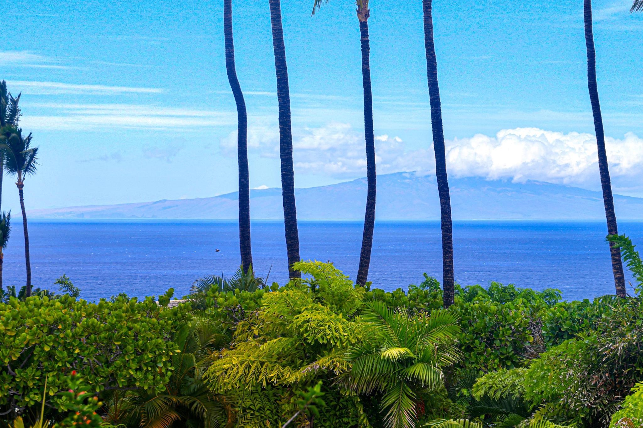 10 Wailea Ekolu Pl Unit 1705 thumbnail 9