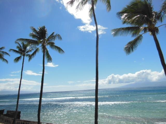 Papakea Resort — Papakea Resort, Napili/Kahana/Honokowai — property photo 20 of 24