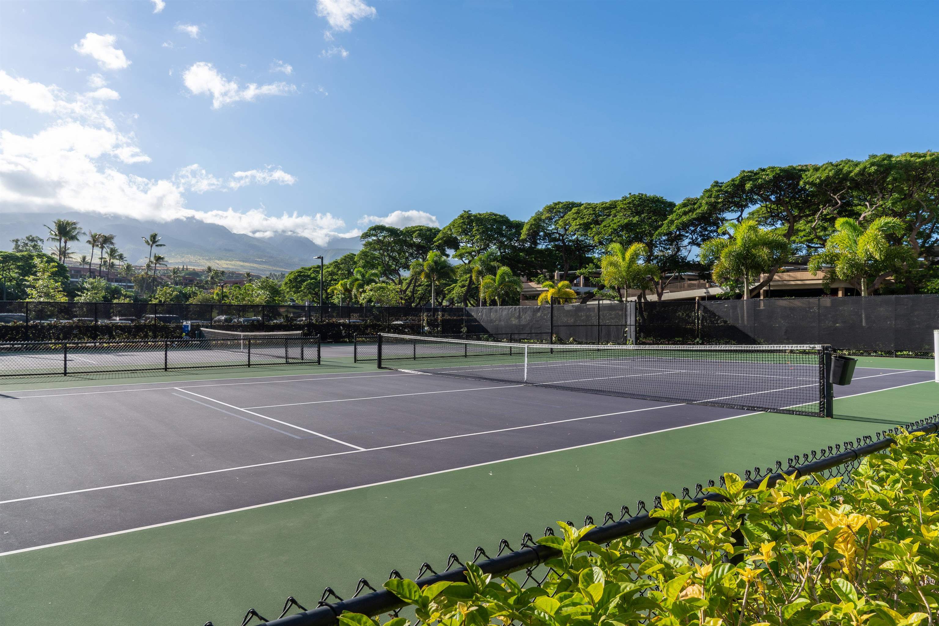 Whaler — Whaler, Kaanapali — property photo 26 of 34