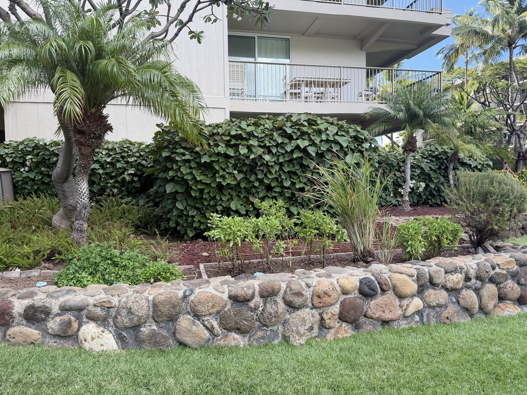 Whaler — Whaler, Kaanapali — property photo 50 of 50