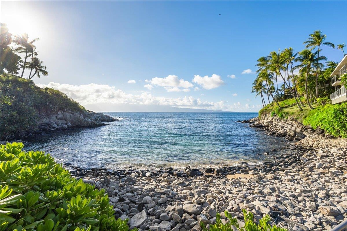 Alaeloa — Alaeloa, Napili/Kahana/Honokowai — property photo 49 of 49