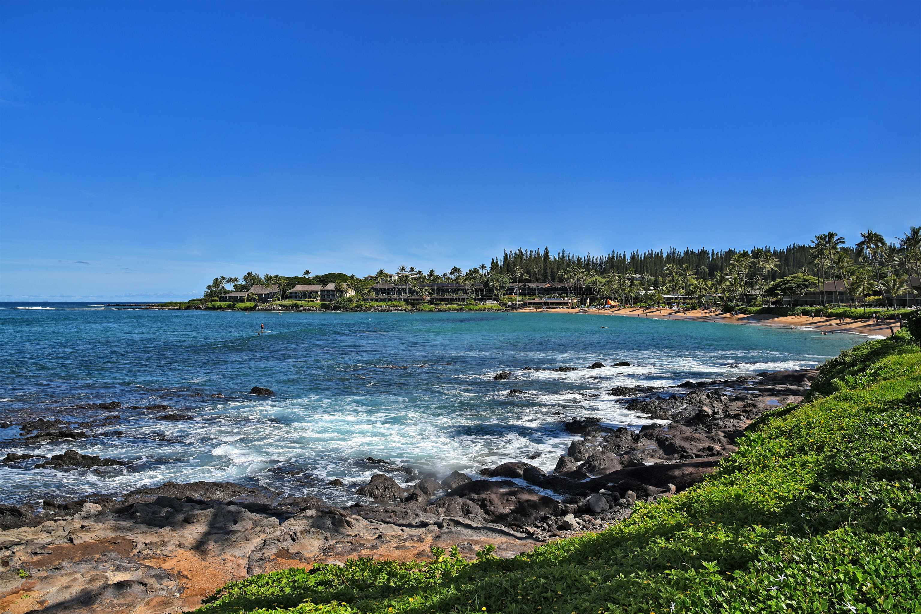 Napili Shores — Napili Shores, Napili/Kahana/Honokowai — property photo 16 of 43