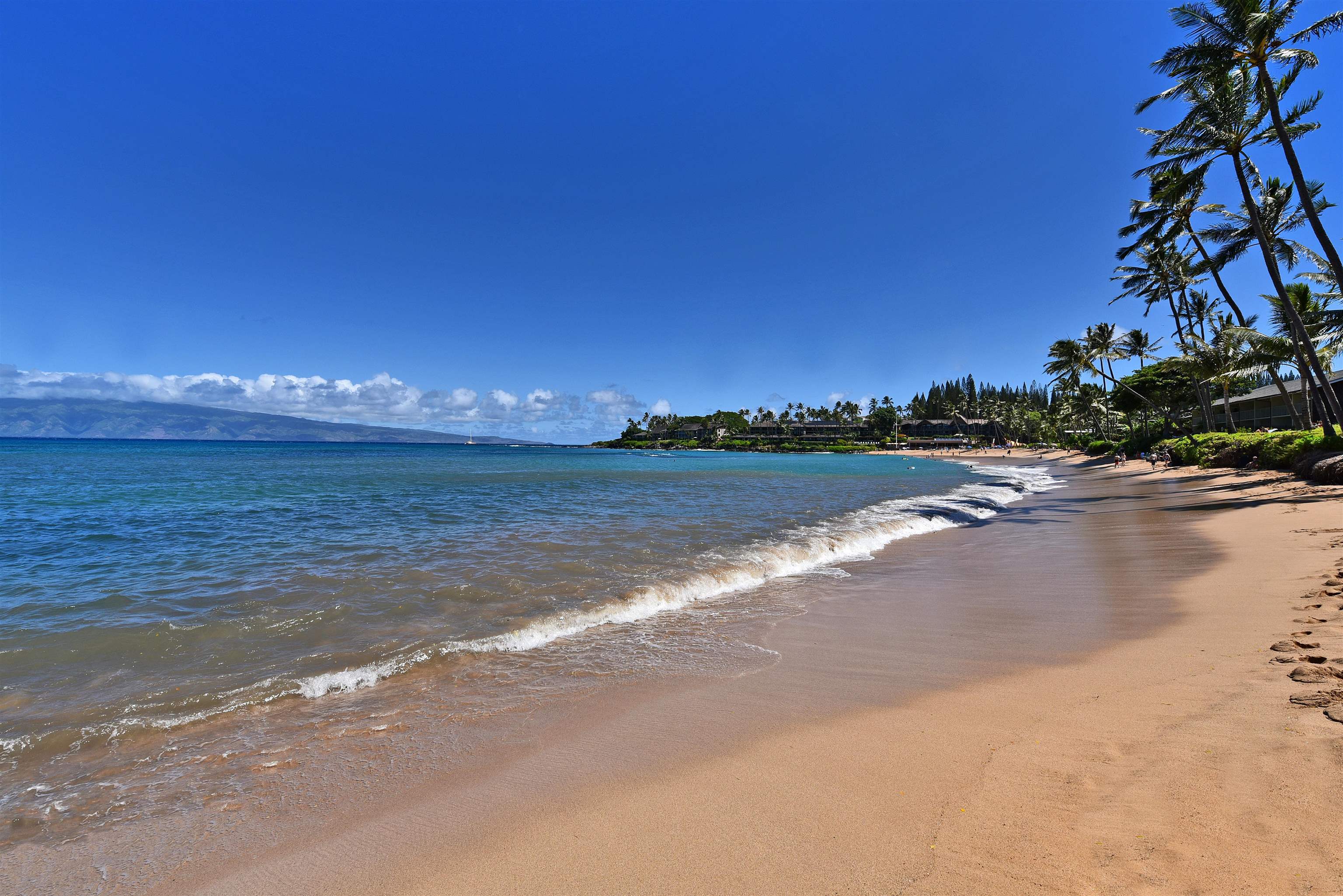 Napili Shores — Napili Shores, Napili/Kahana/Honokowai — property photo 17 of 43