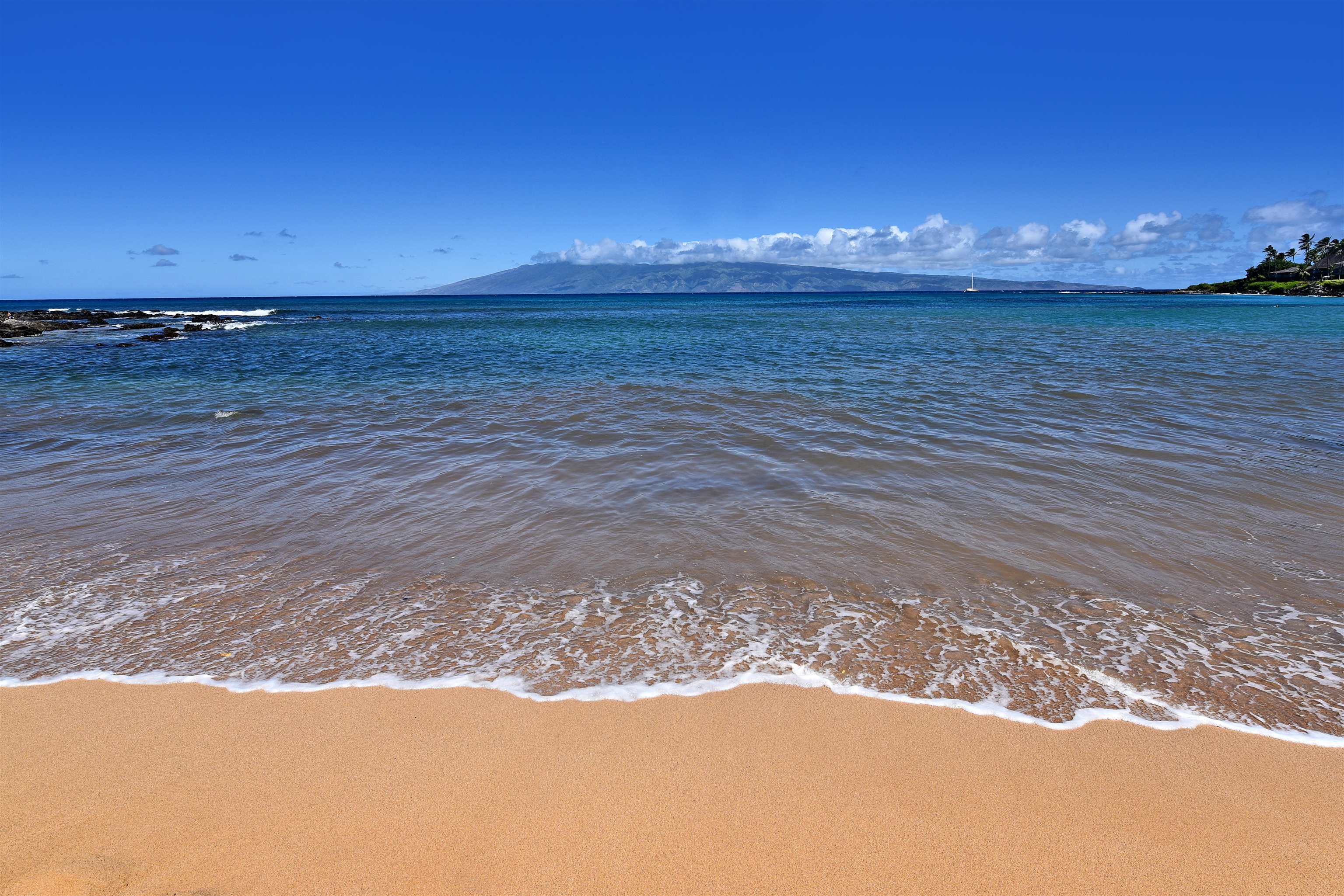 Napili Shores — Napili Shores, Napili/Kahana/Honokowai — property photo 18 of 43
