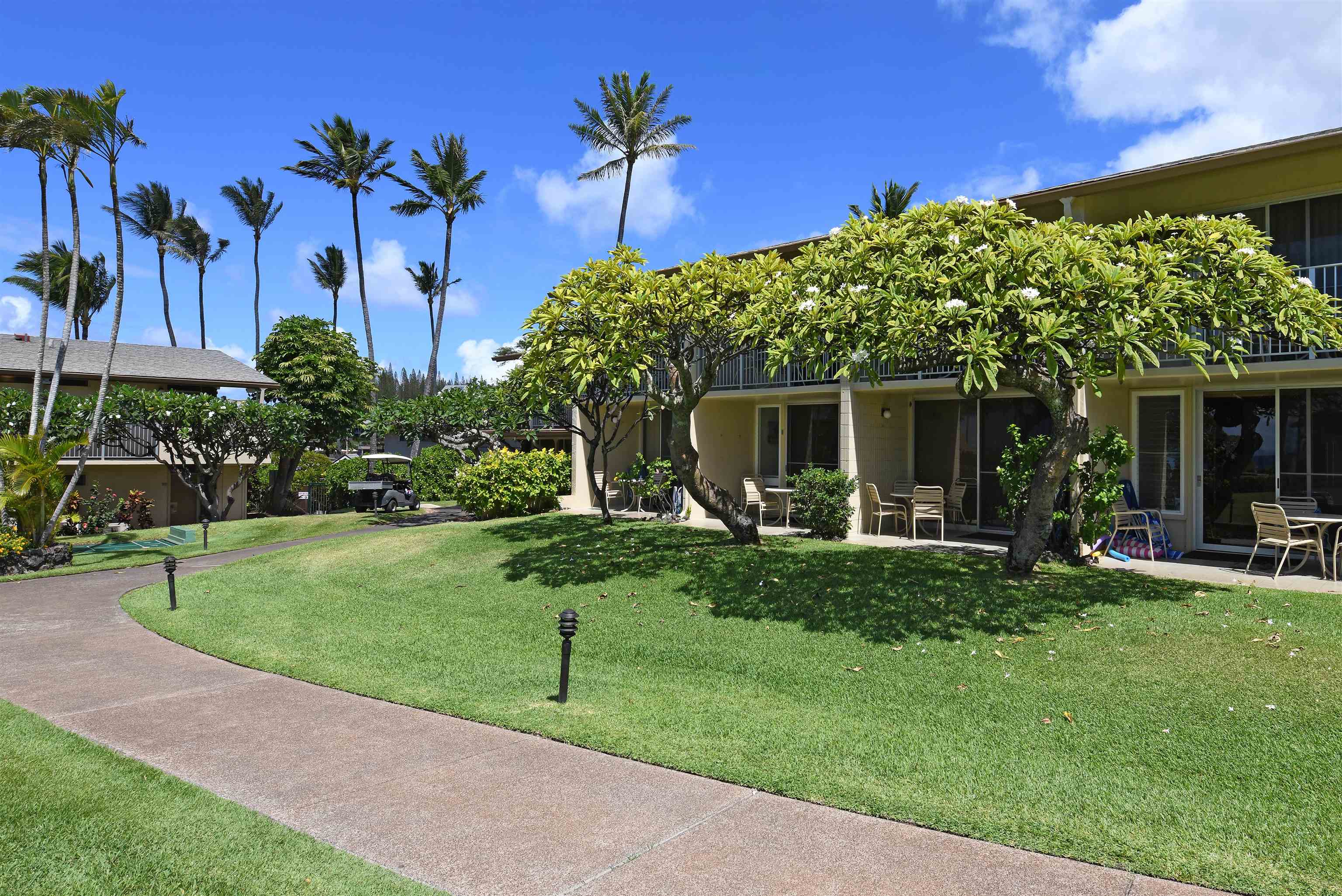 Napili Shores — Napili Shores, Napili/Kahana/Honokowai — property photo 25 of 43
