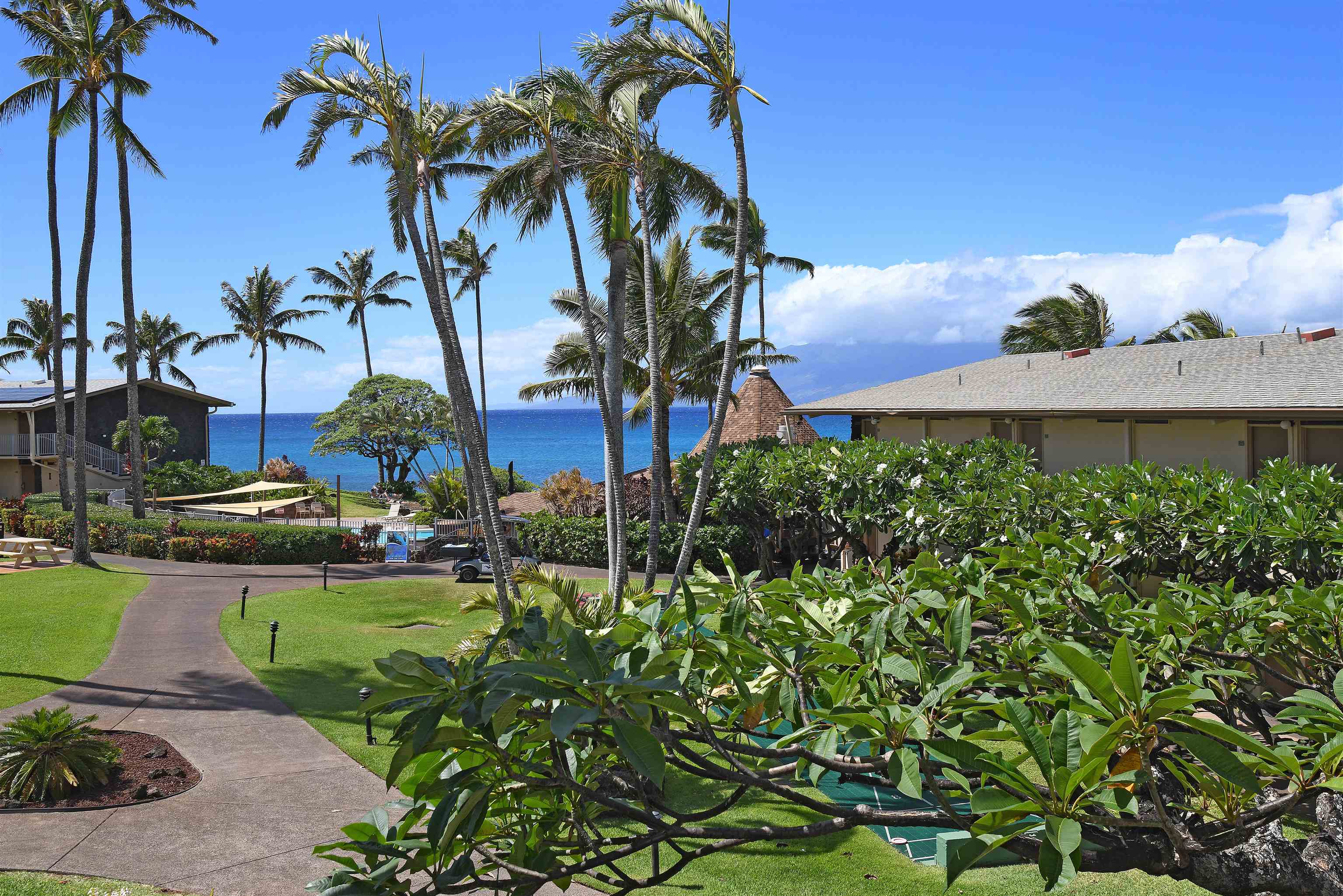 Napili Shores — Napili Shores, Napili/Kahana/Honokowai — property photo 26 of 43