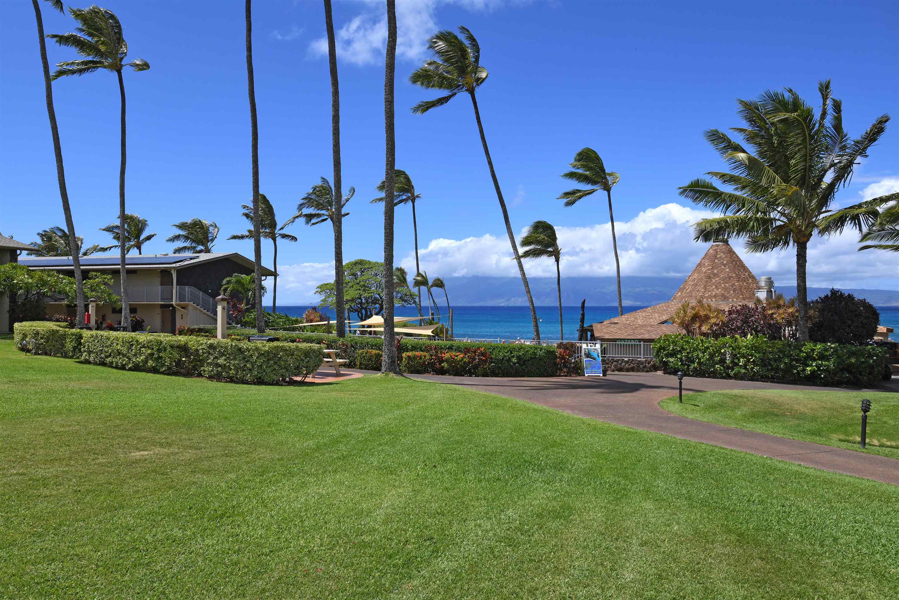 Napili Shores — Napili Shores, Napili/Kahana/Honokowai — property photo 28 of 43