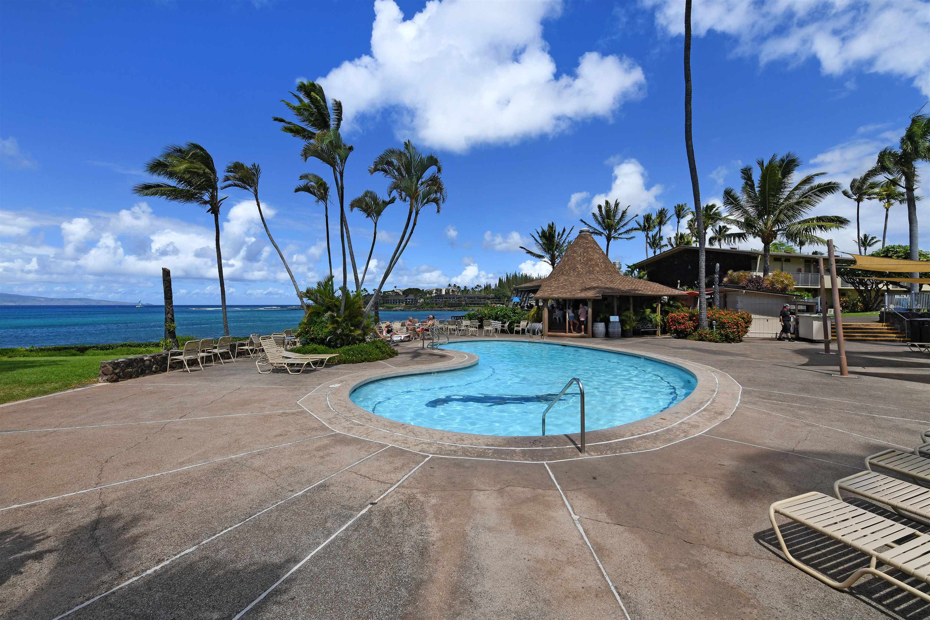 Napili Shores — Napili Shores, Napili/Kahana/Honokowai — property photo 36 of 43