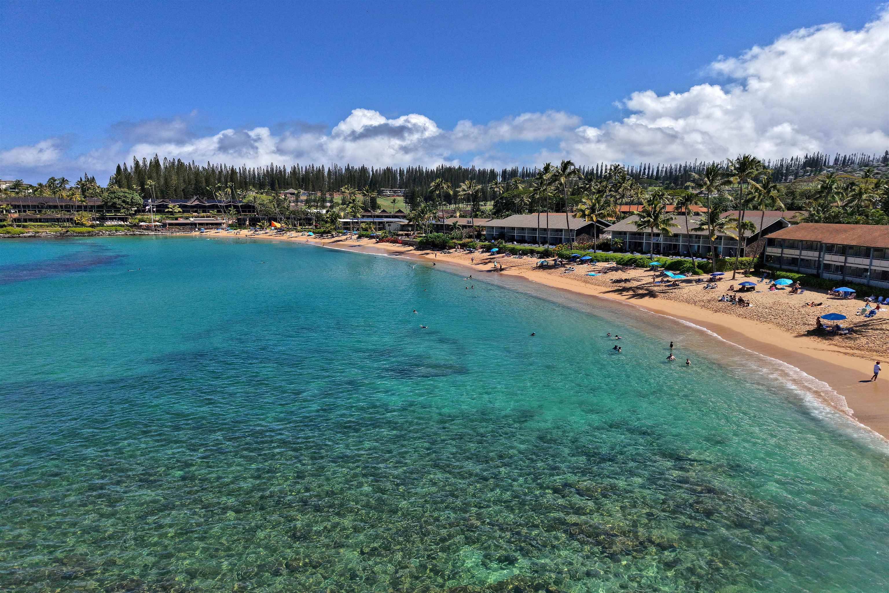 Napili Shores — Napili Shores, Napili/Kahana/Honokowai — property photo 42 of 43