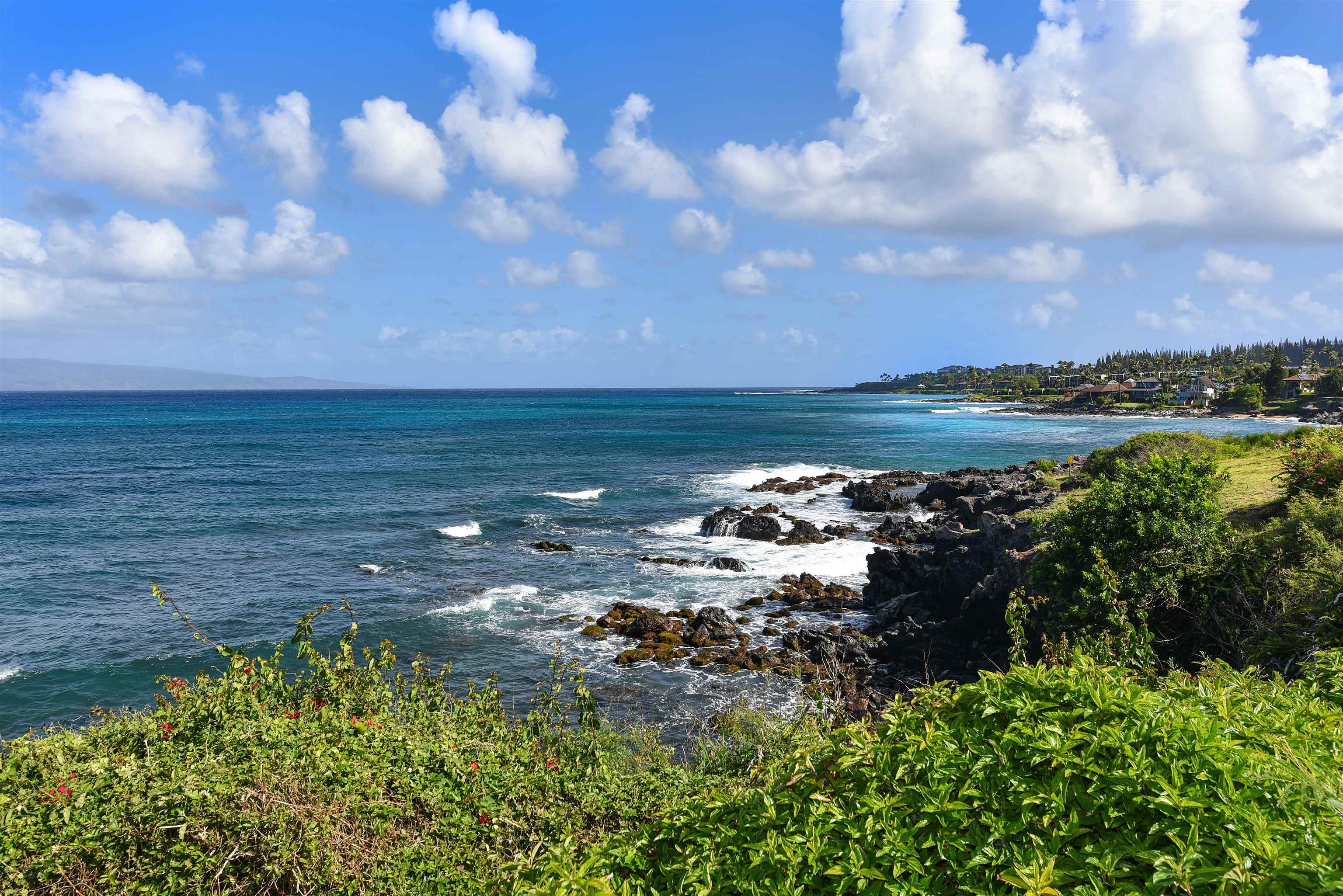 Alaeloa — Alaeloa, Napili/Kahana/Honokowai — property photo 15 of 50