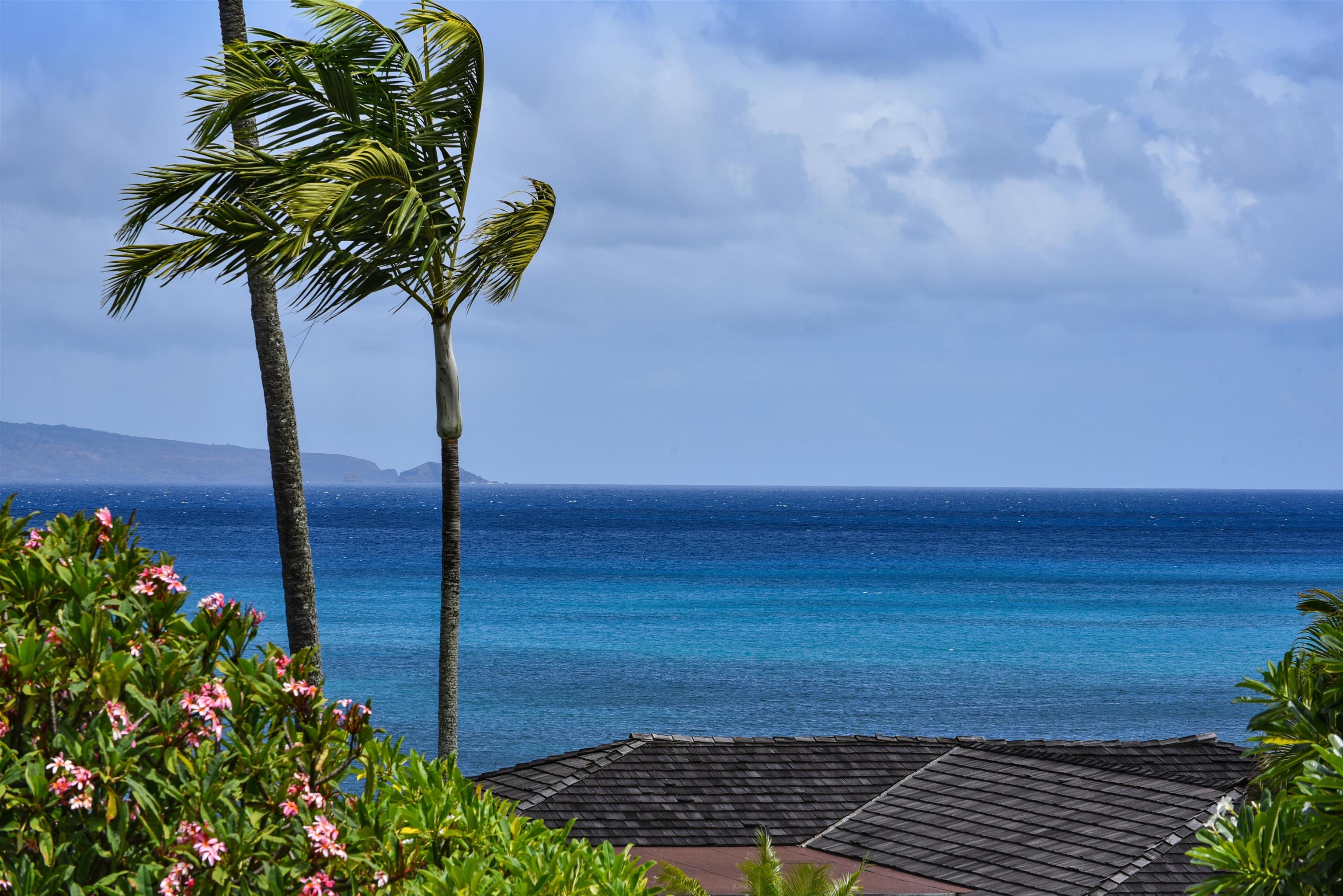 Alaeloa — Alaeloa, Napili/Kahana/Honokowai — property photo 22 of 50