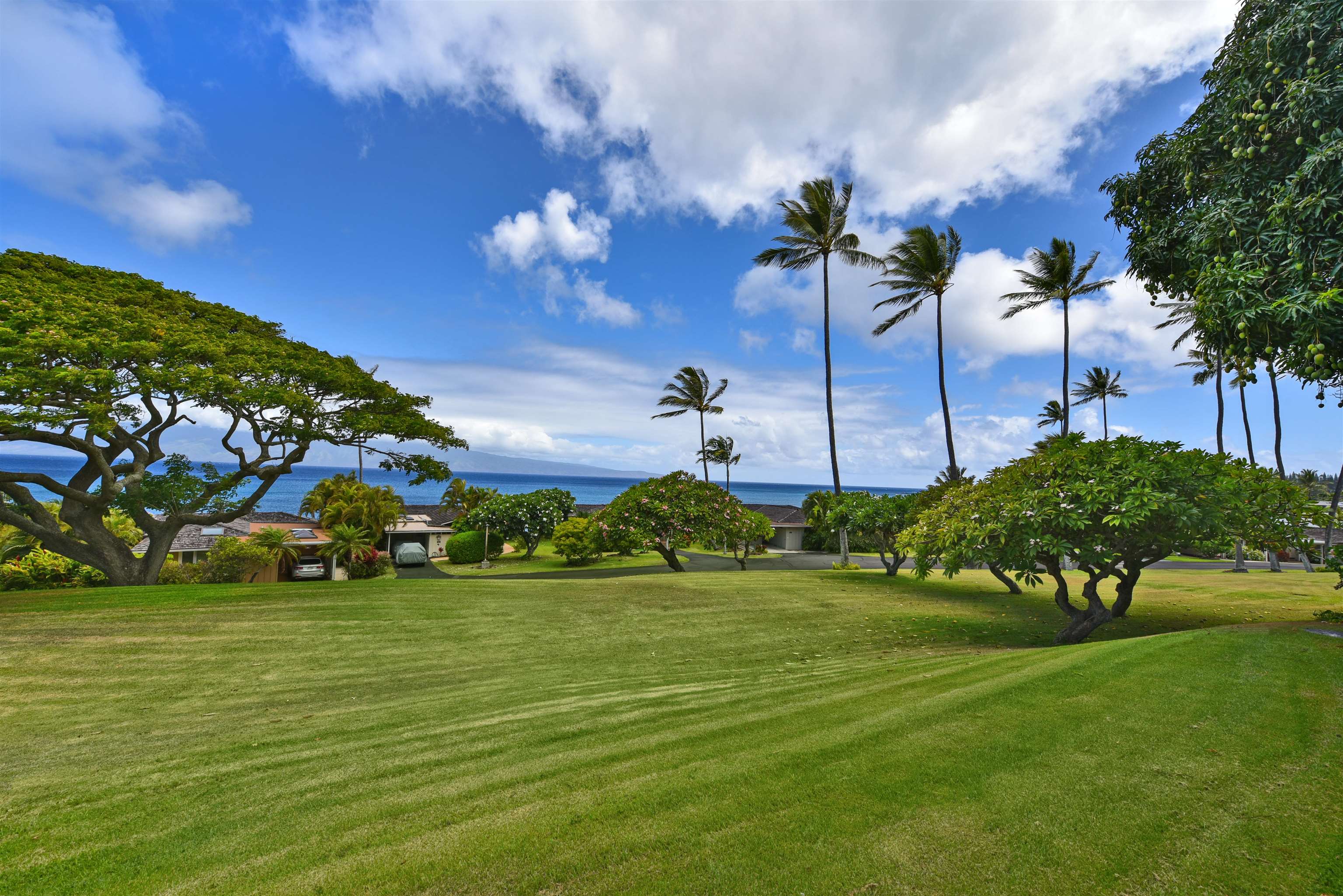 Alaeloa — Alaeloa, Napili/Kahana/Honokowai — property photo 39 of 50