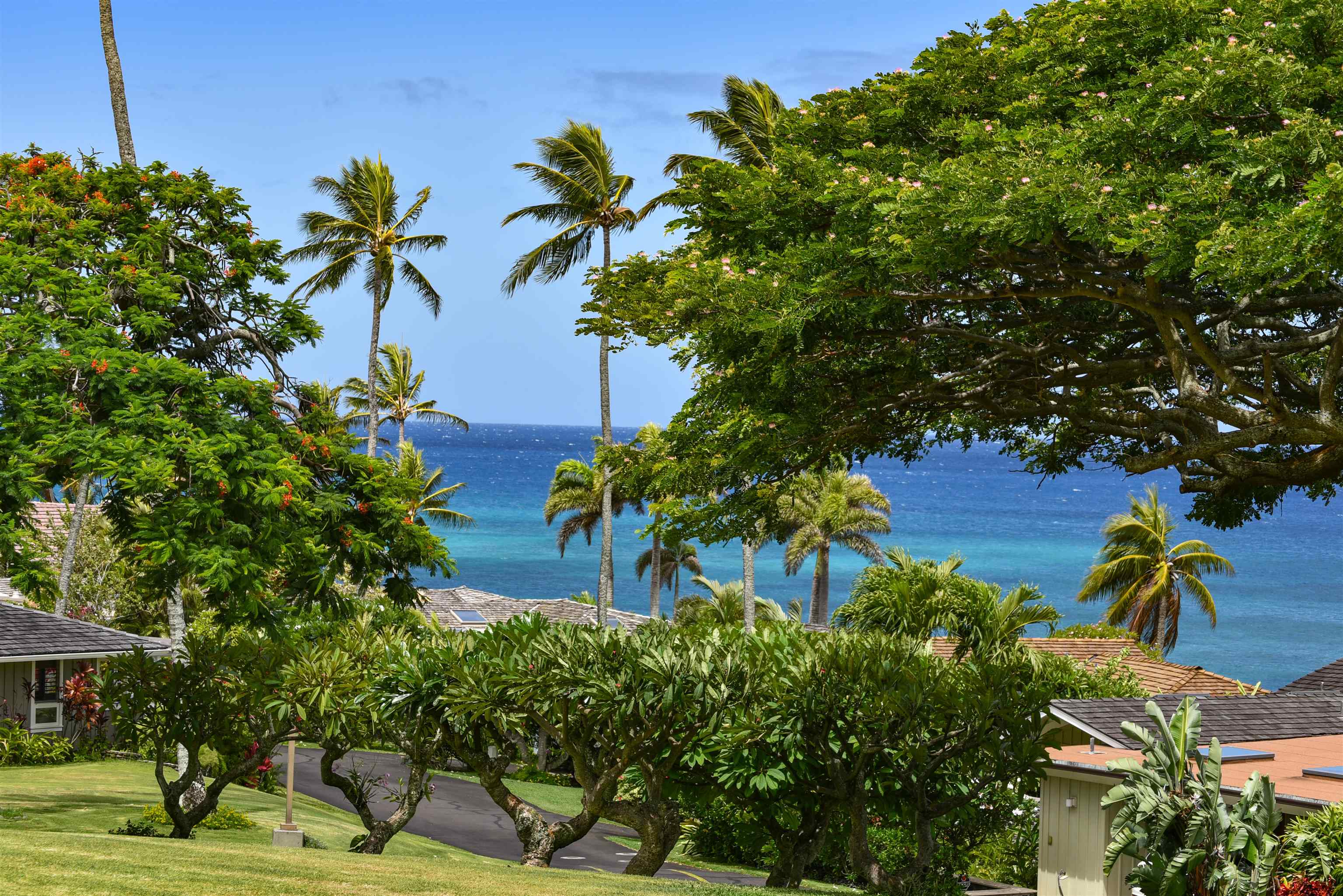 Alaeloa — Alaeloa, Napili/Kahana/Honokowai — property photo 40 of 50