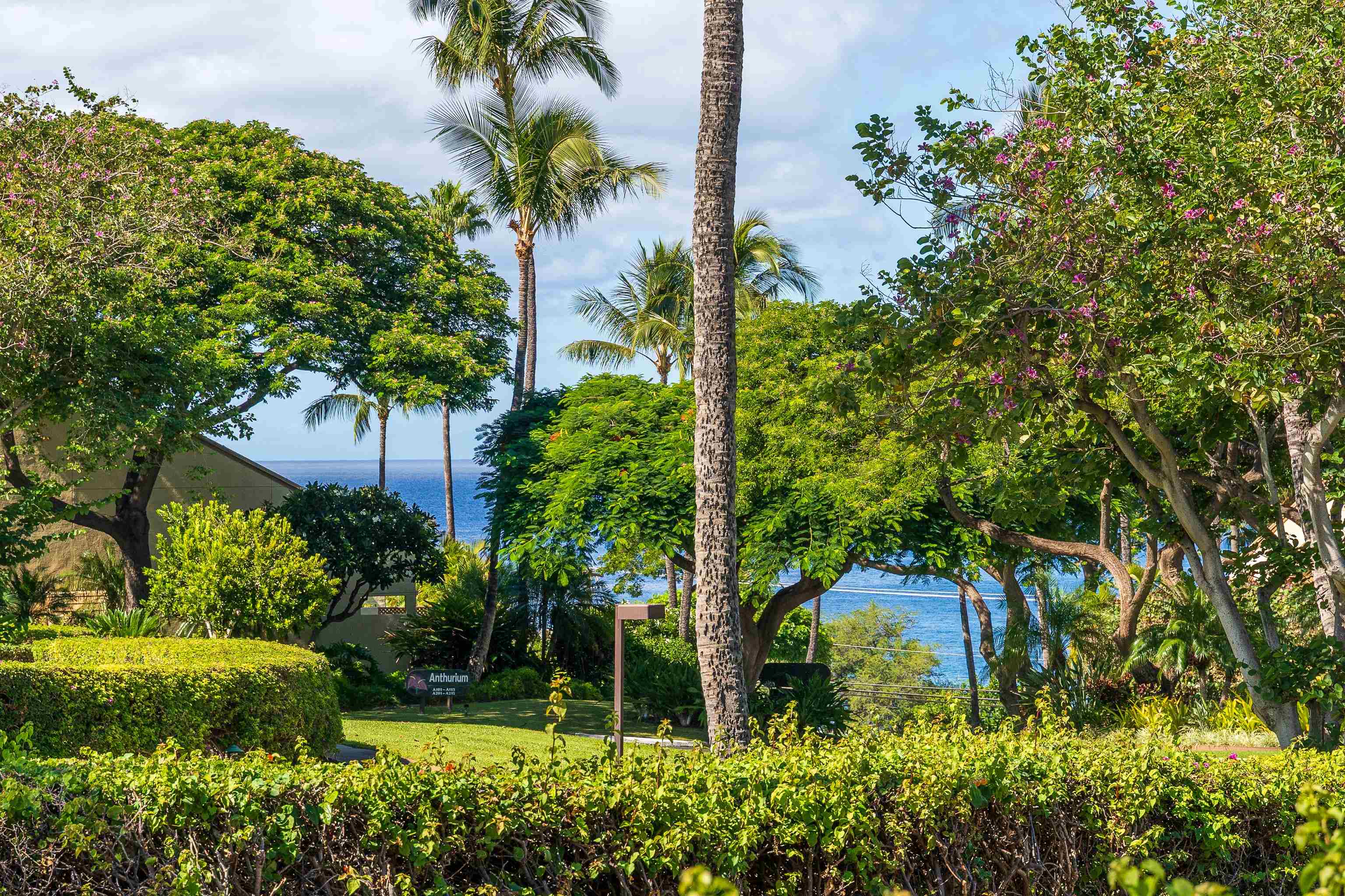 2777 Kihei Rd Unit I103 thumbnail 5