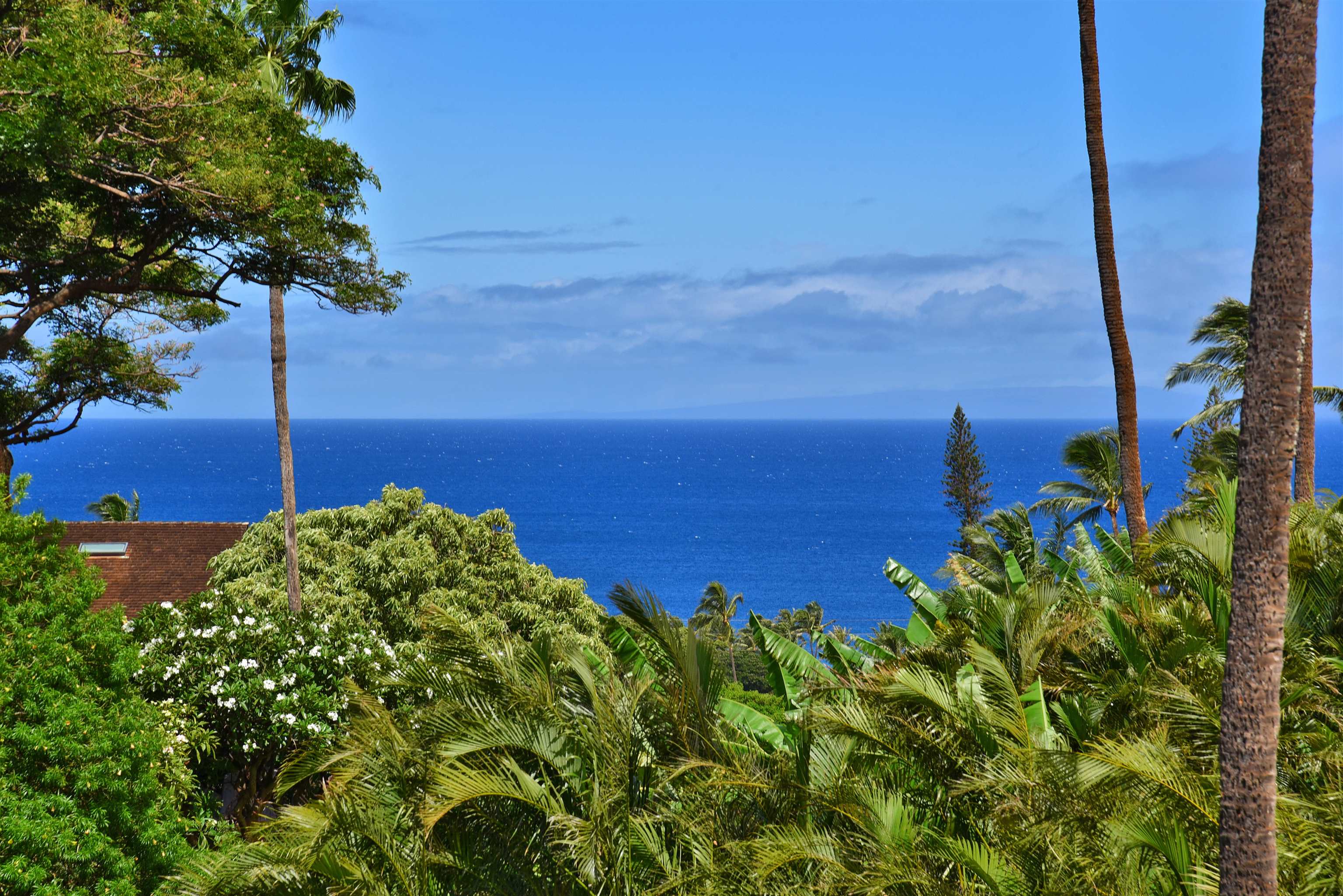 Kaanapali Plantation — Kaanapali Plantation, Kaanapali — property photo 21 of 49