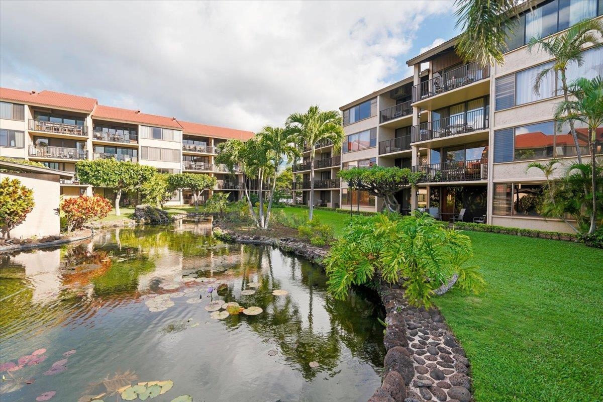 Papakea Resort — Papakea Resort, Napili/Kahana/Honokowai — property photo 36 of 43