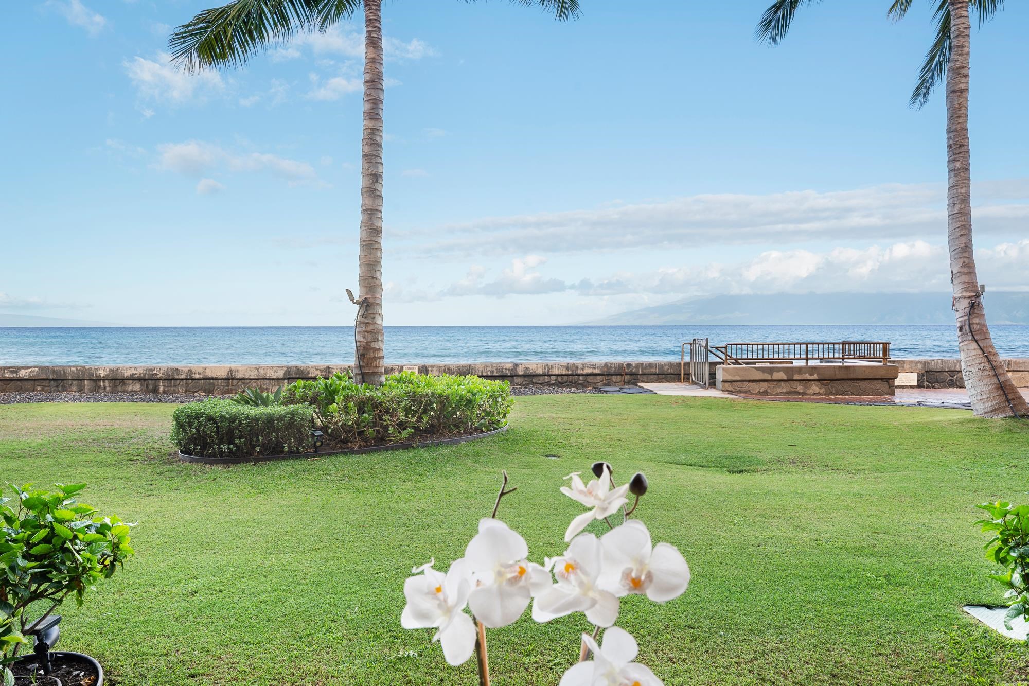 Kulakane — Kulakane, Napili/Kahana/Honokowai — property photo 22 of 35