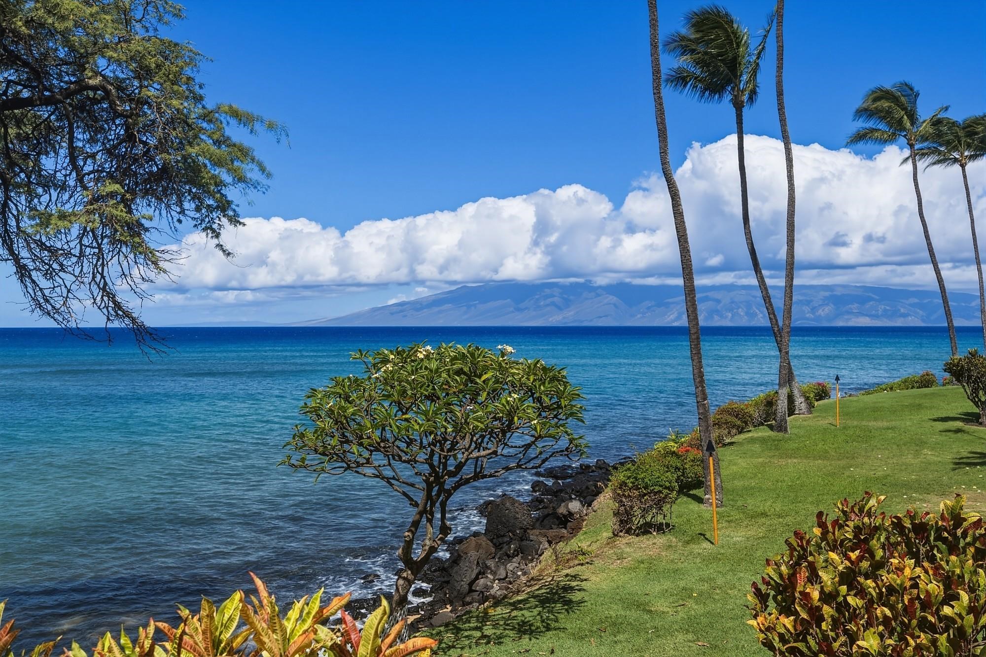Kuleana — Kuleana, Napili/Kahana/Honokowai — property photo 30 of 50