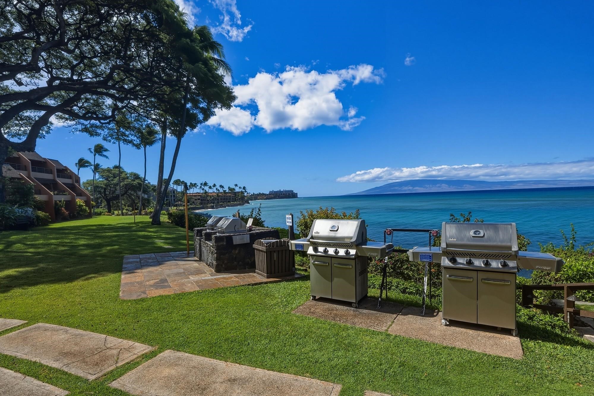 Kuleana — Kuleana, Napili/Kahana/Honokowai — property photo 41 of 50
