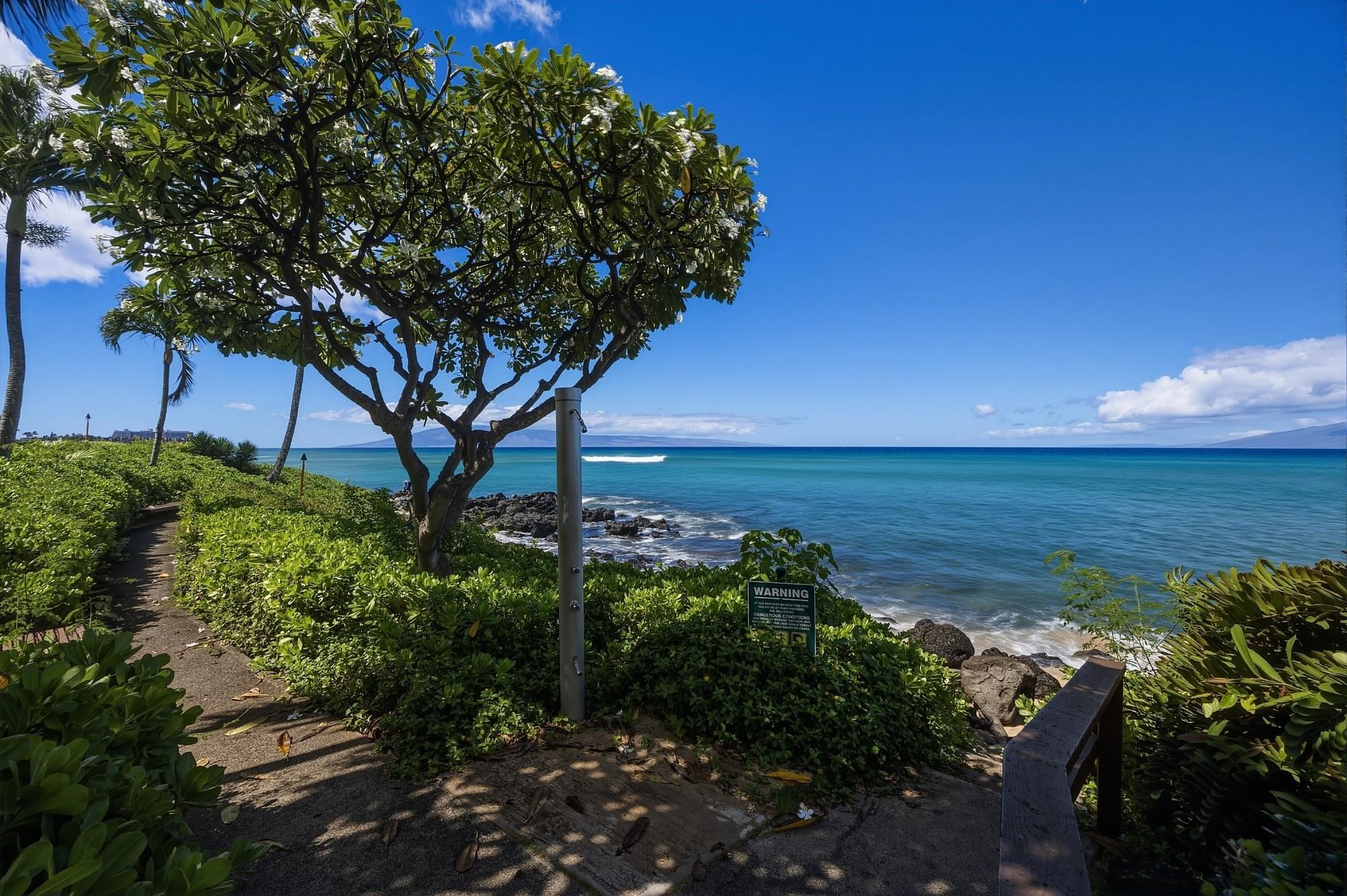 Kuleana — Kuleana, Napili/Kahana/Honokowai — property photo 43 of 50