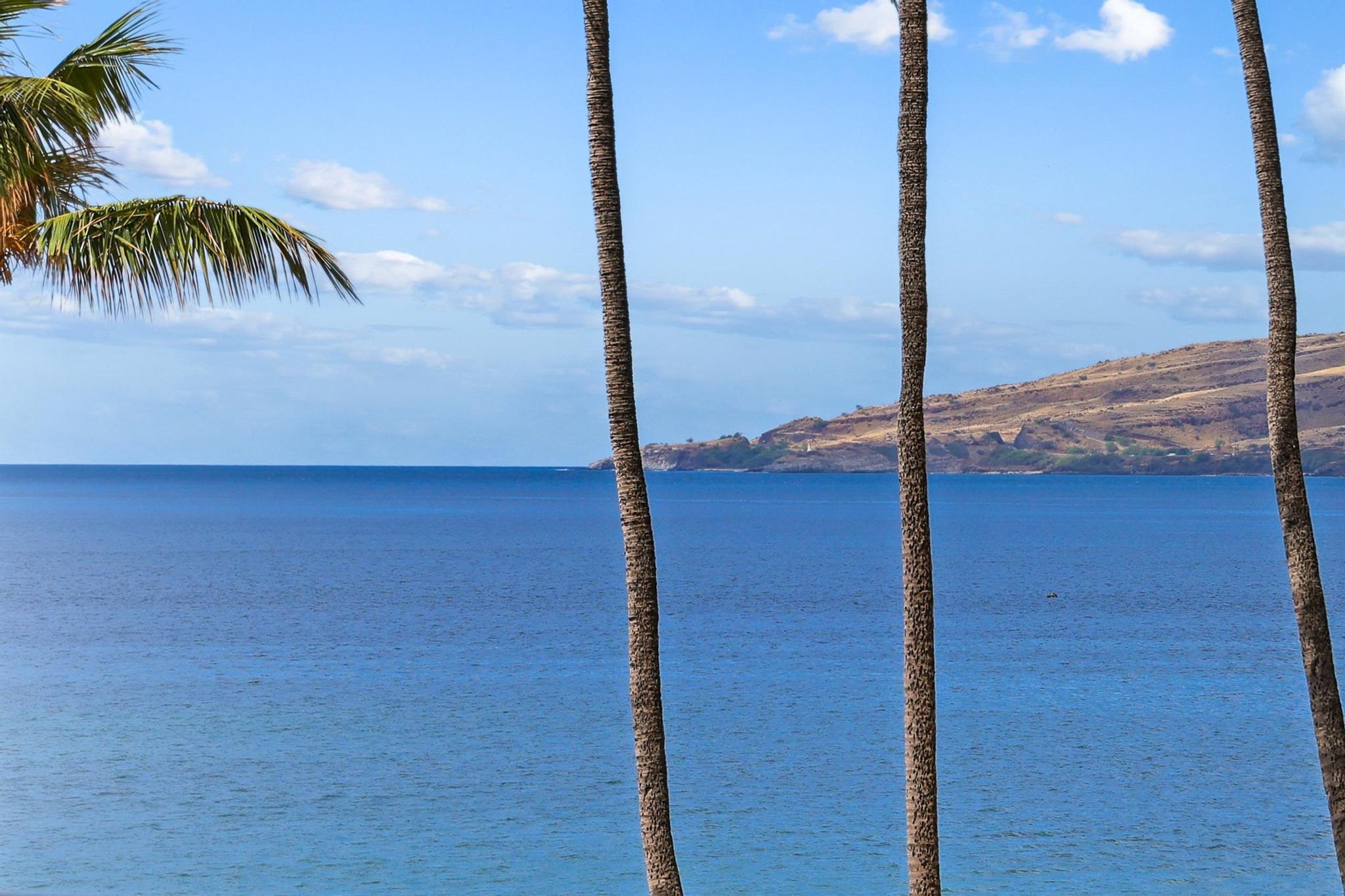 145 Kihei Rd Unit 406 thumbnail 3