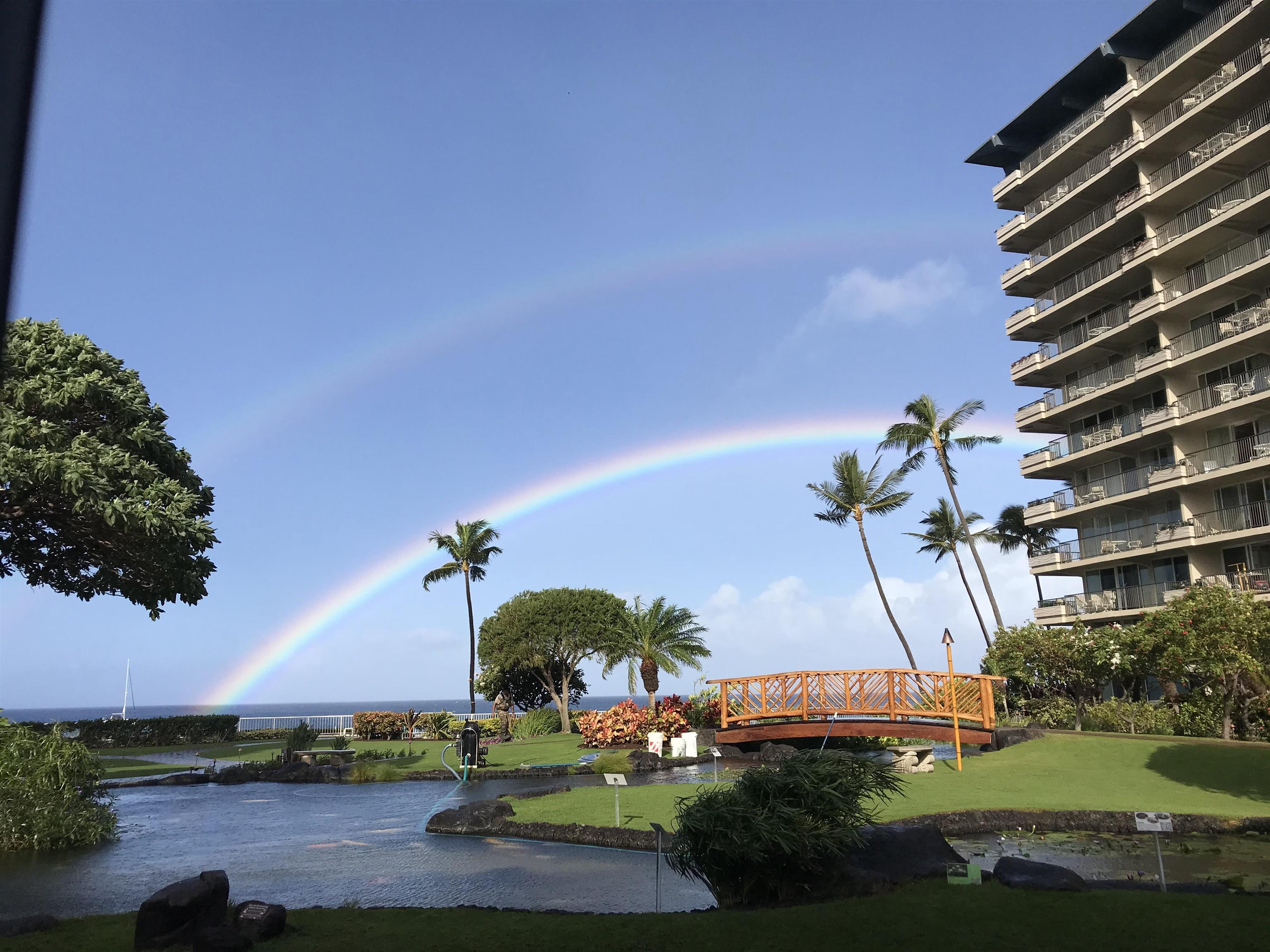 Whaler I — Whaler I, Kaanapali — property photo 24 of 33
