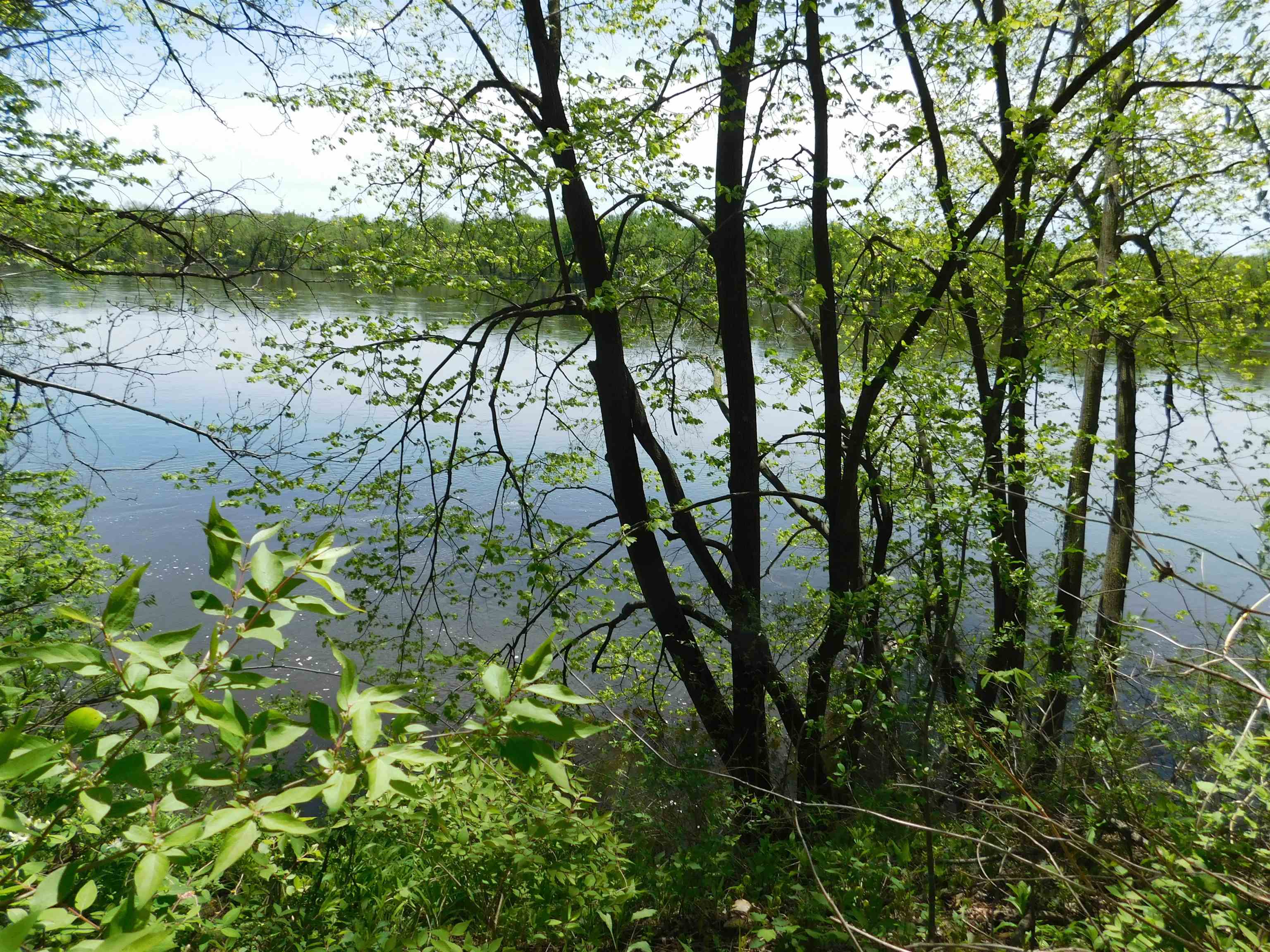 24319 Highway 60 property preview photograph