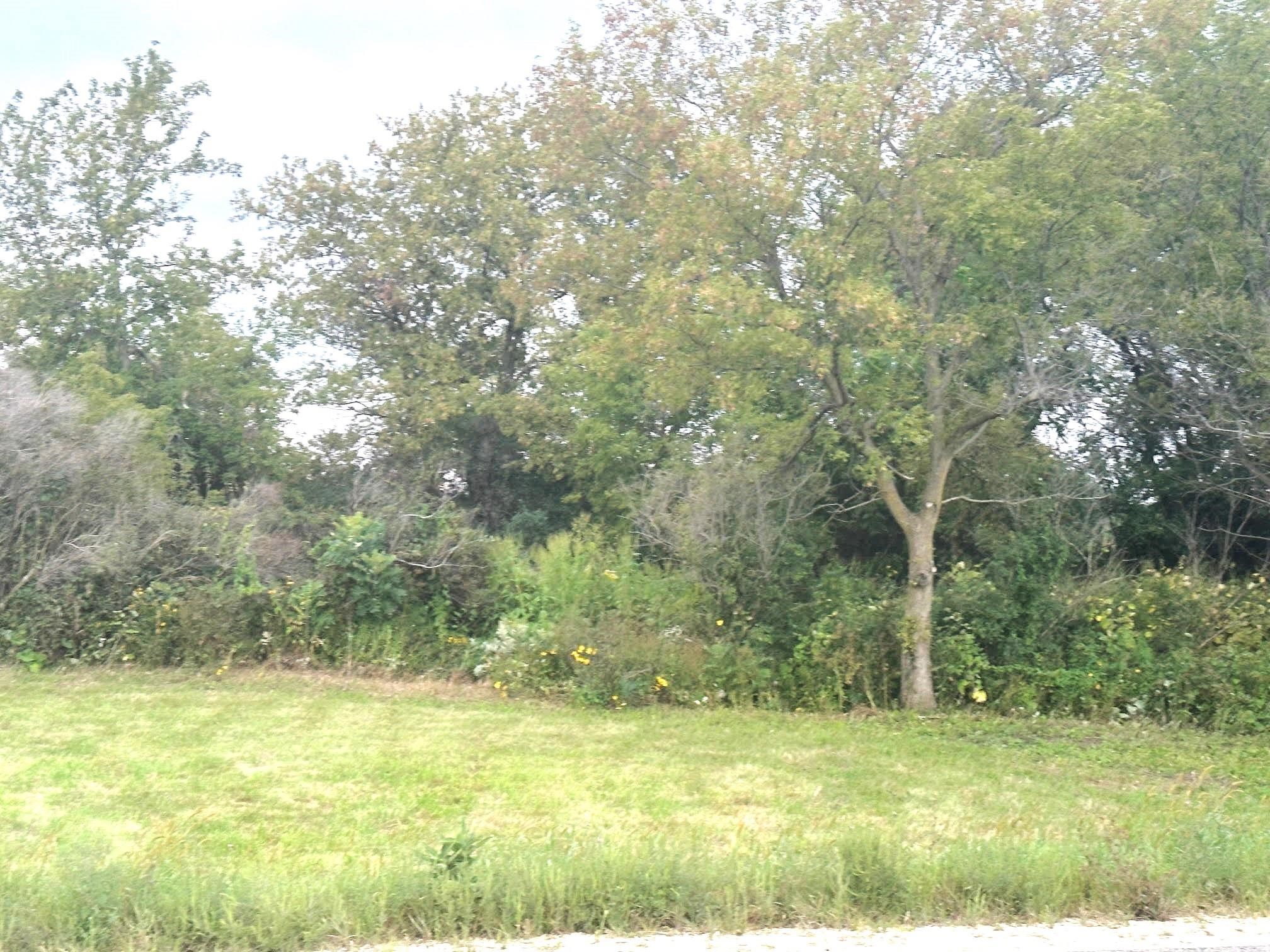 Photo 16 of Swiss Lane & County Road K, Barneveld