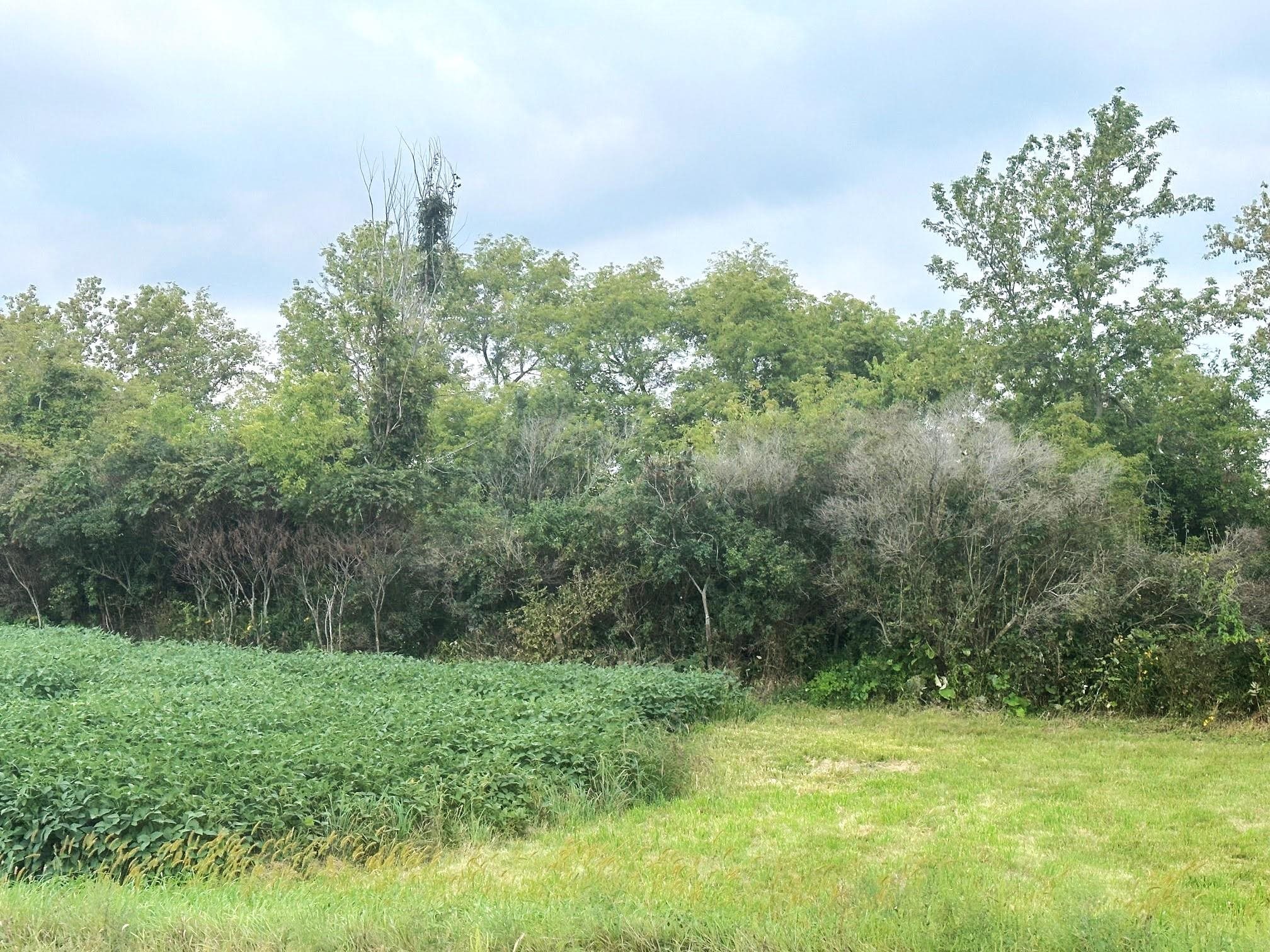 Photo 17 of Swiss Lane & County Road K, Barneveld