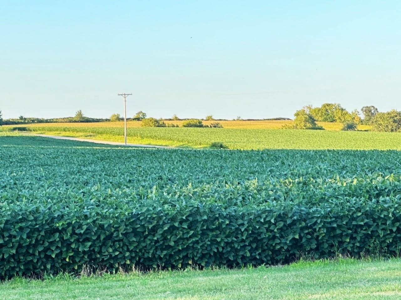 Photo 19 of Swiss Lane & County Road K, Barneveld