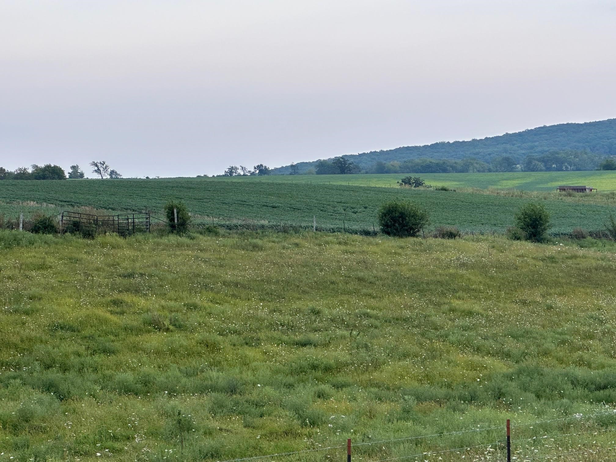Photo 22 of Swiss Lane & County Road K, Barneveld