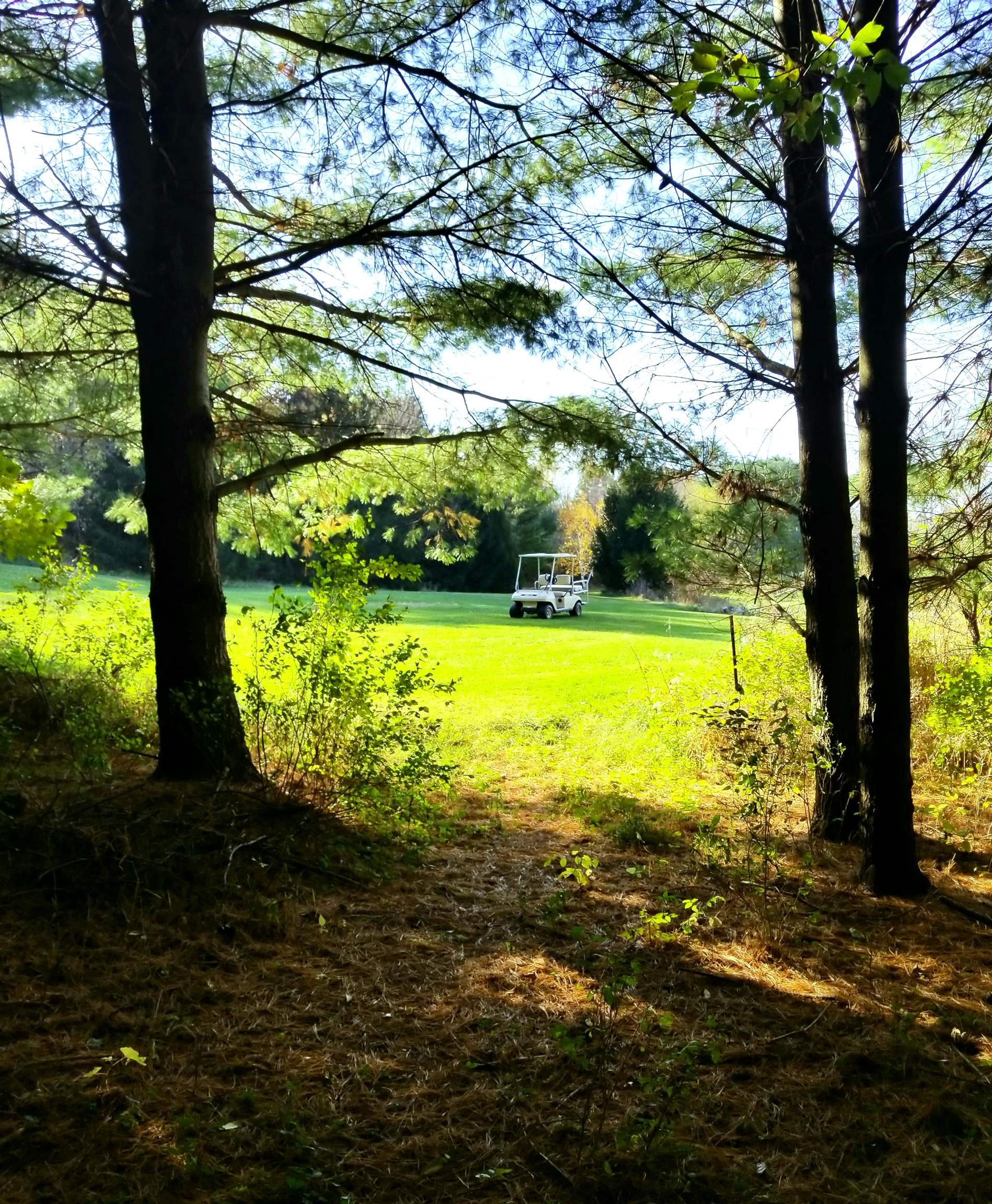 Photo 19 of 5364 Everson Road, Argyle