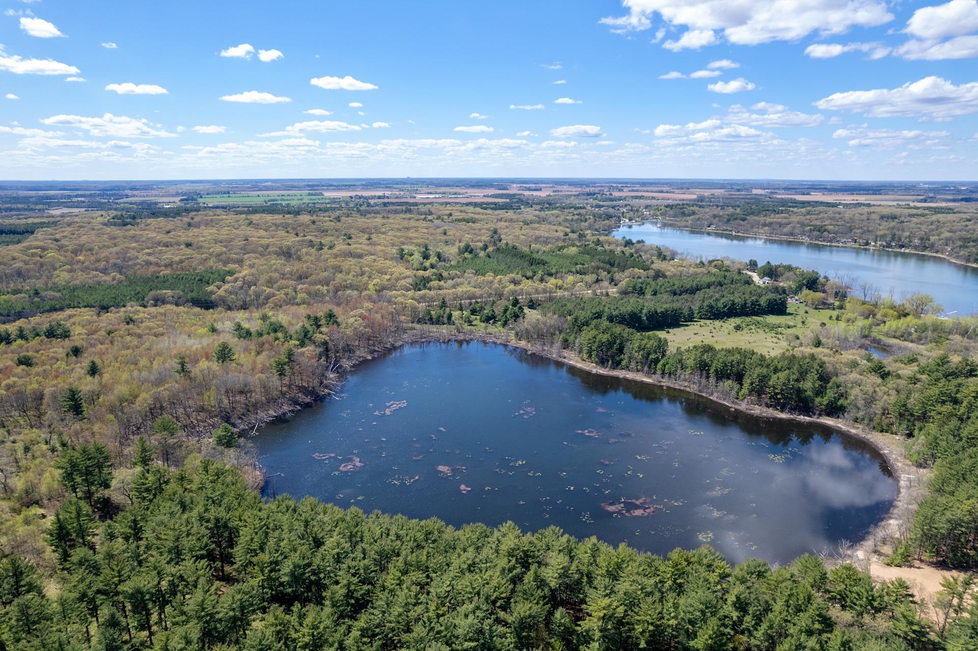 49.79 AC Forest Drive property preview photograph